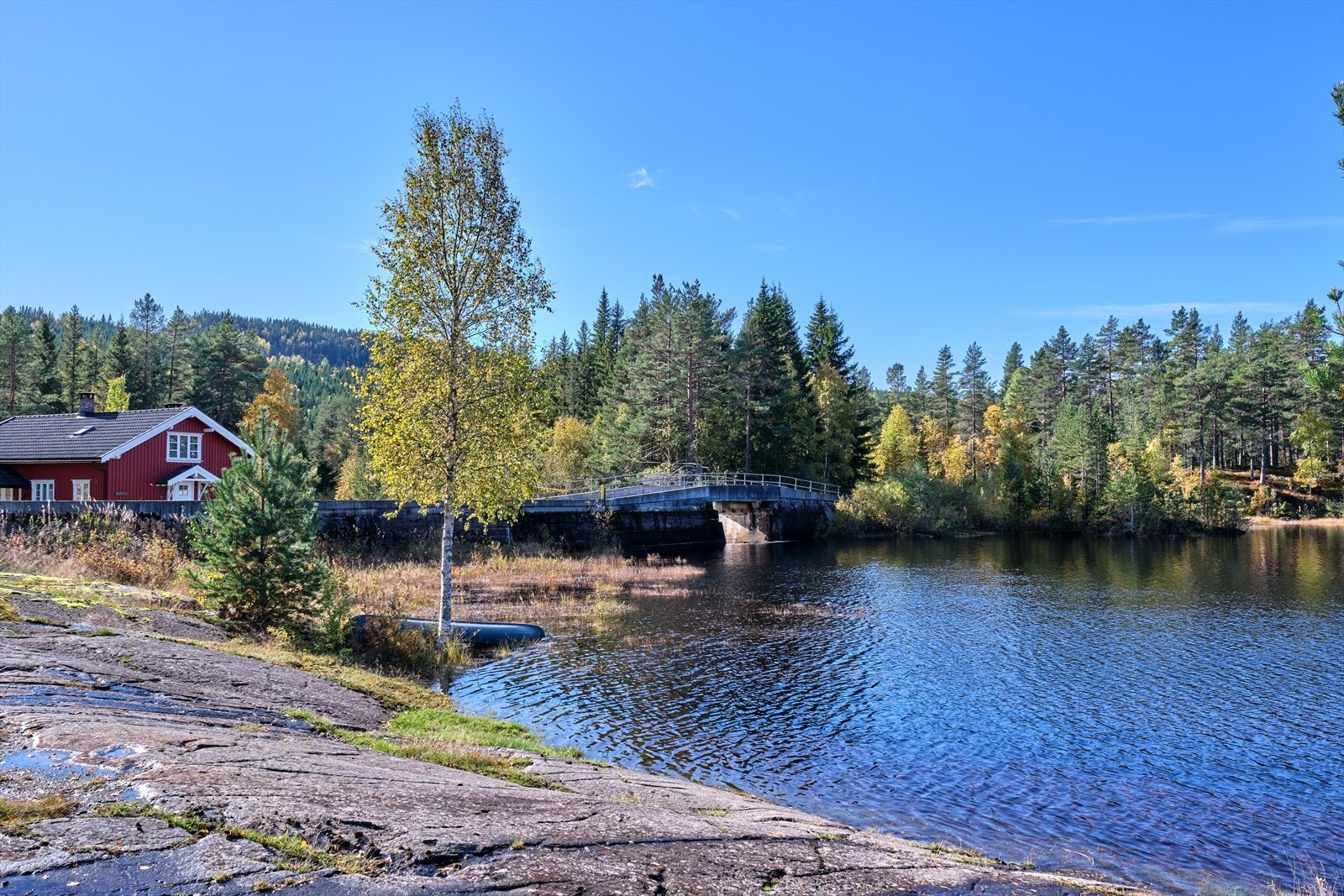 Svartangen er ganske idyllisk Galleribilde