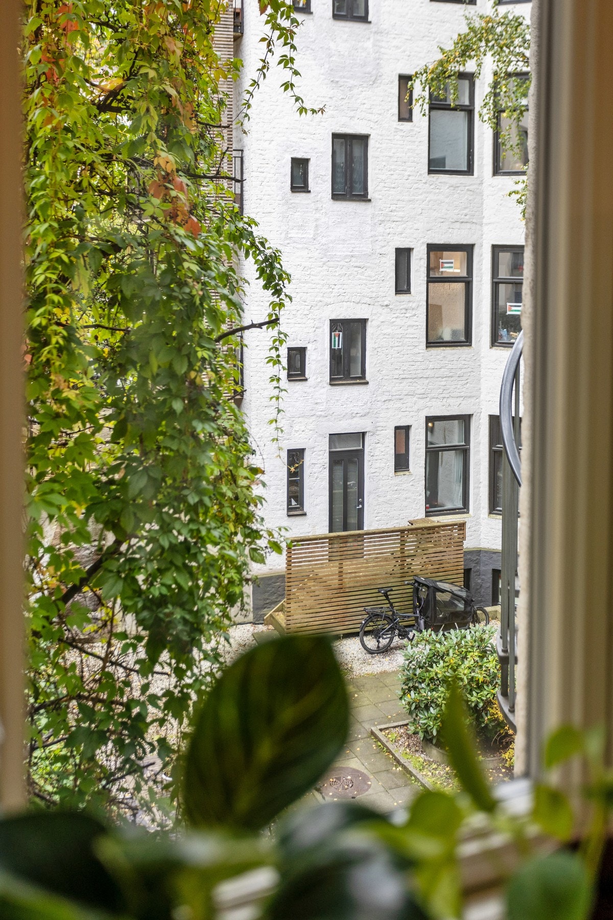 Utsyn fra kjøkkenvindu mot naboens bakgård. Galleribilde