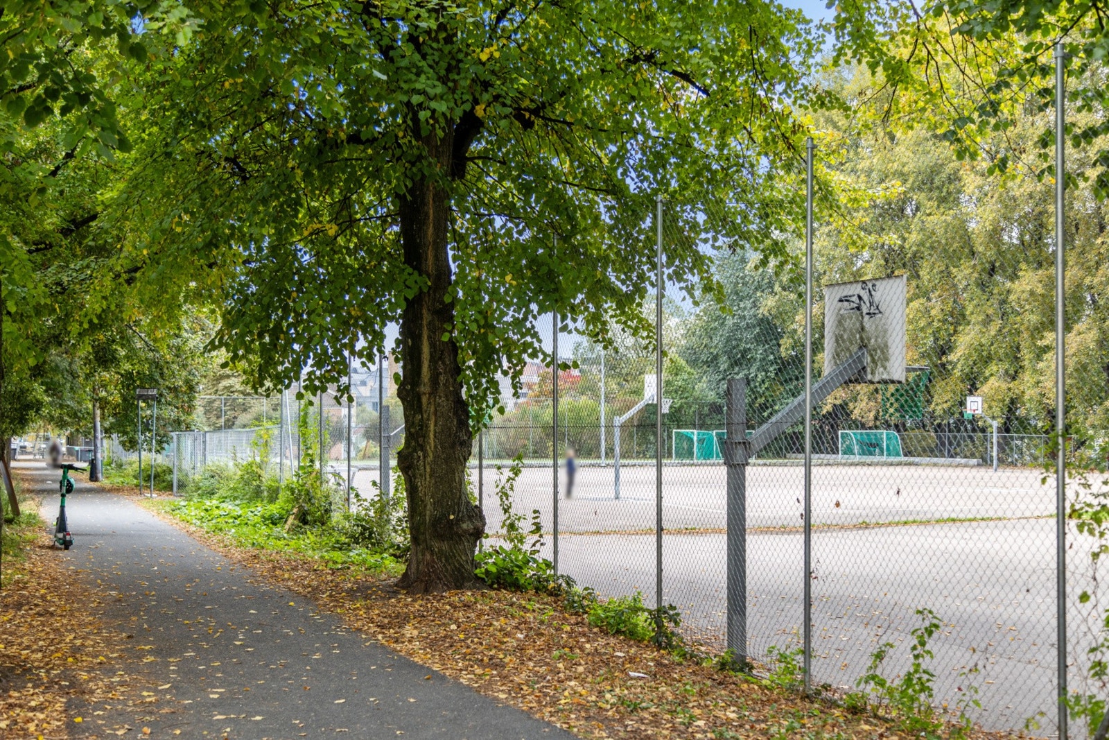 Nærområdet. Galleribilde