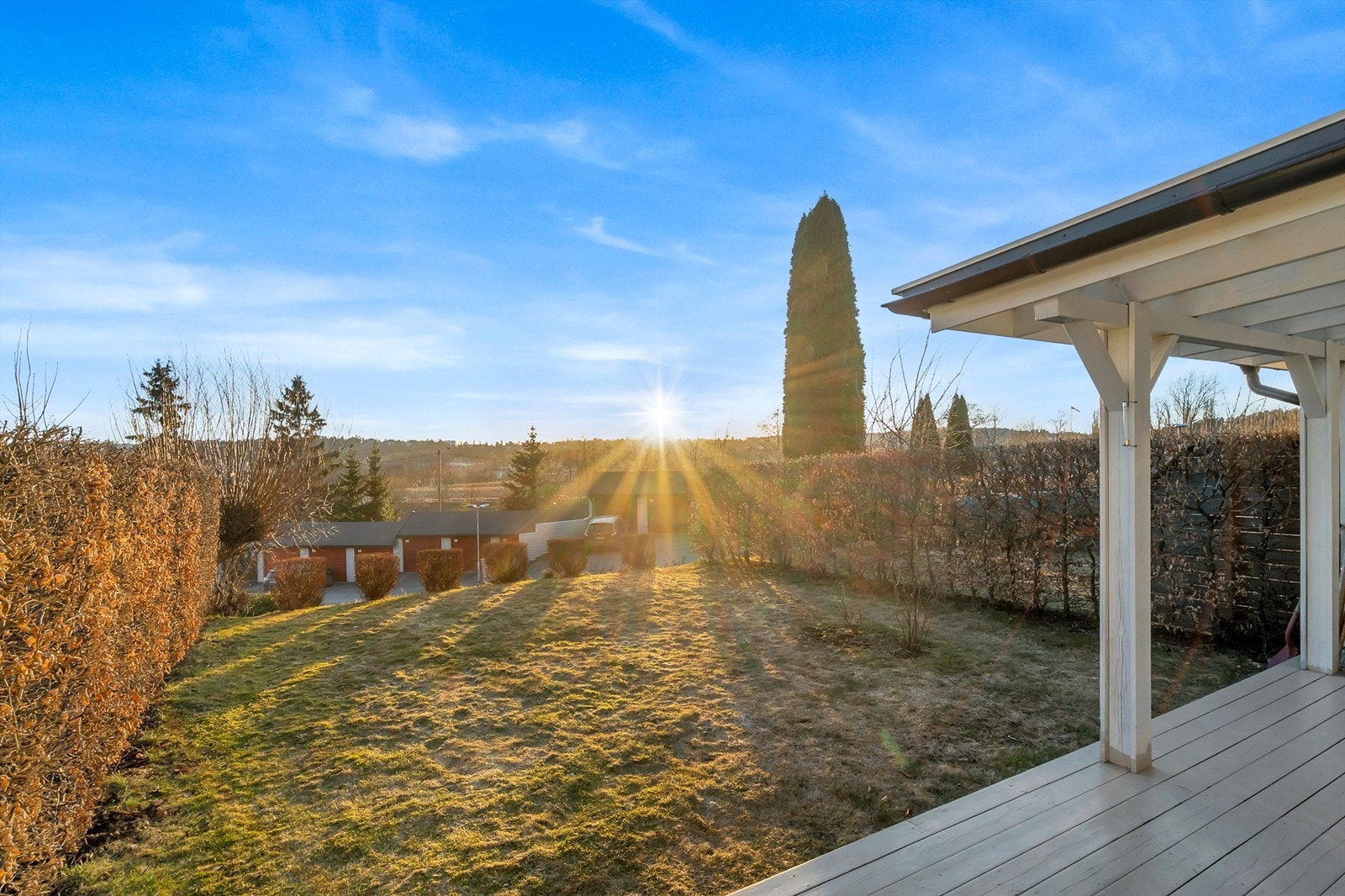 Utsyn mot tretopper i horisonten. Galleribilde