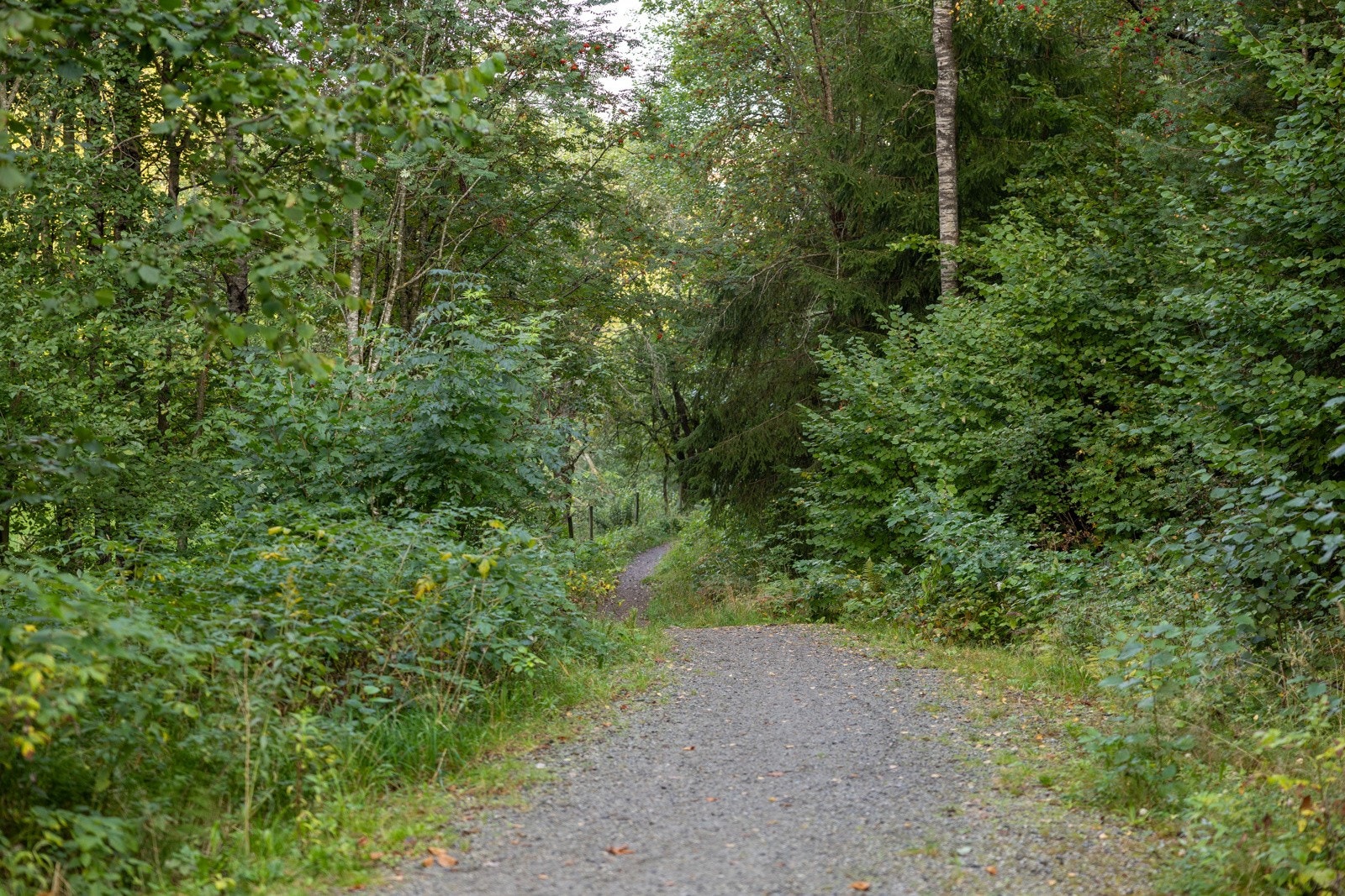 Umiddelbar nærhet til flotte rekreasjonsområder i marka. Galleribilde