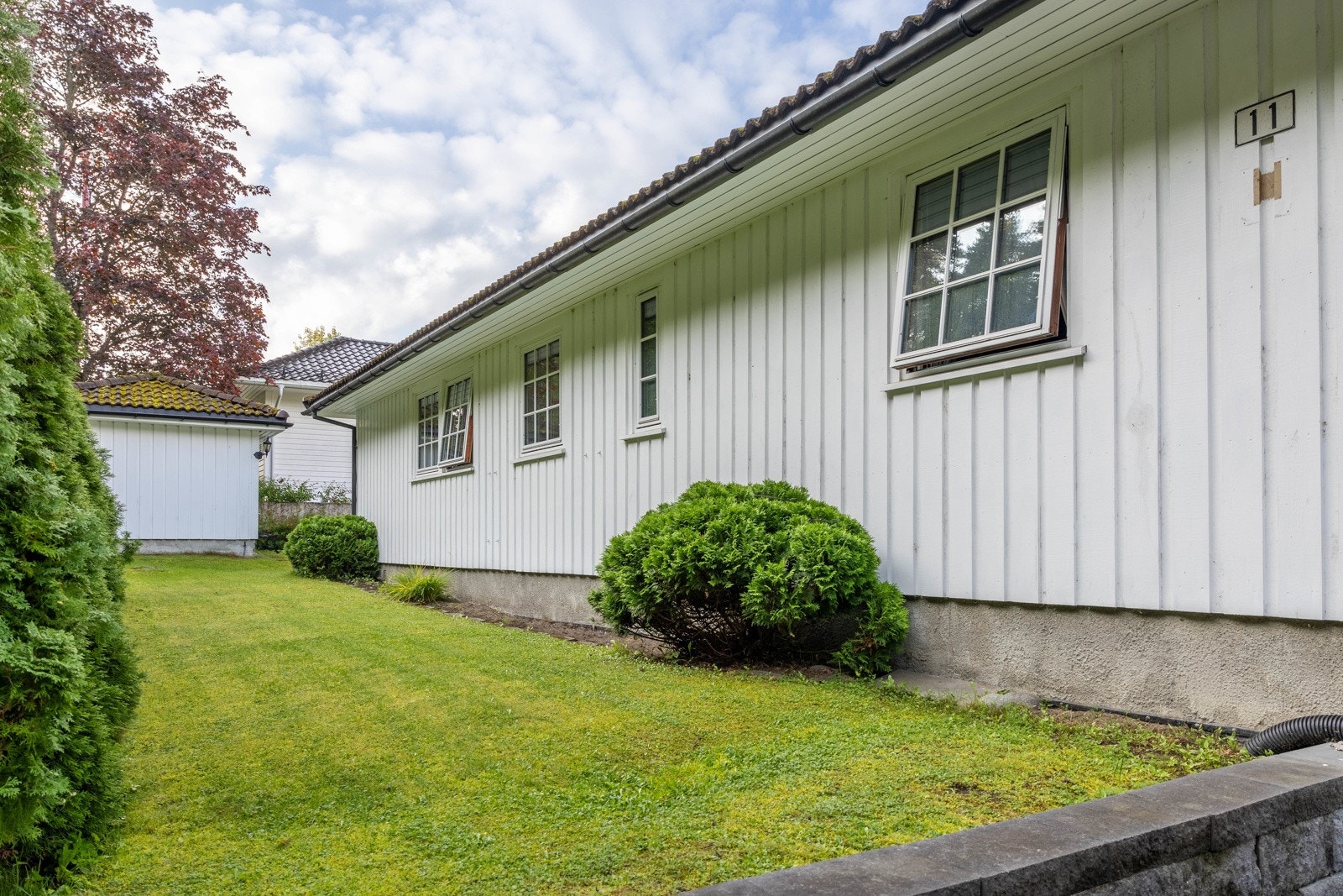 Ulik beplantning på tomten. Galleribilde