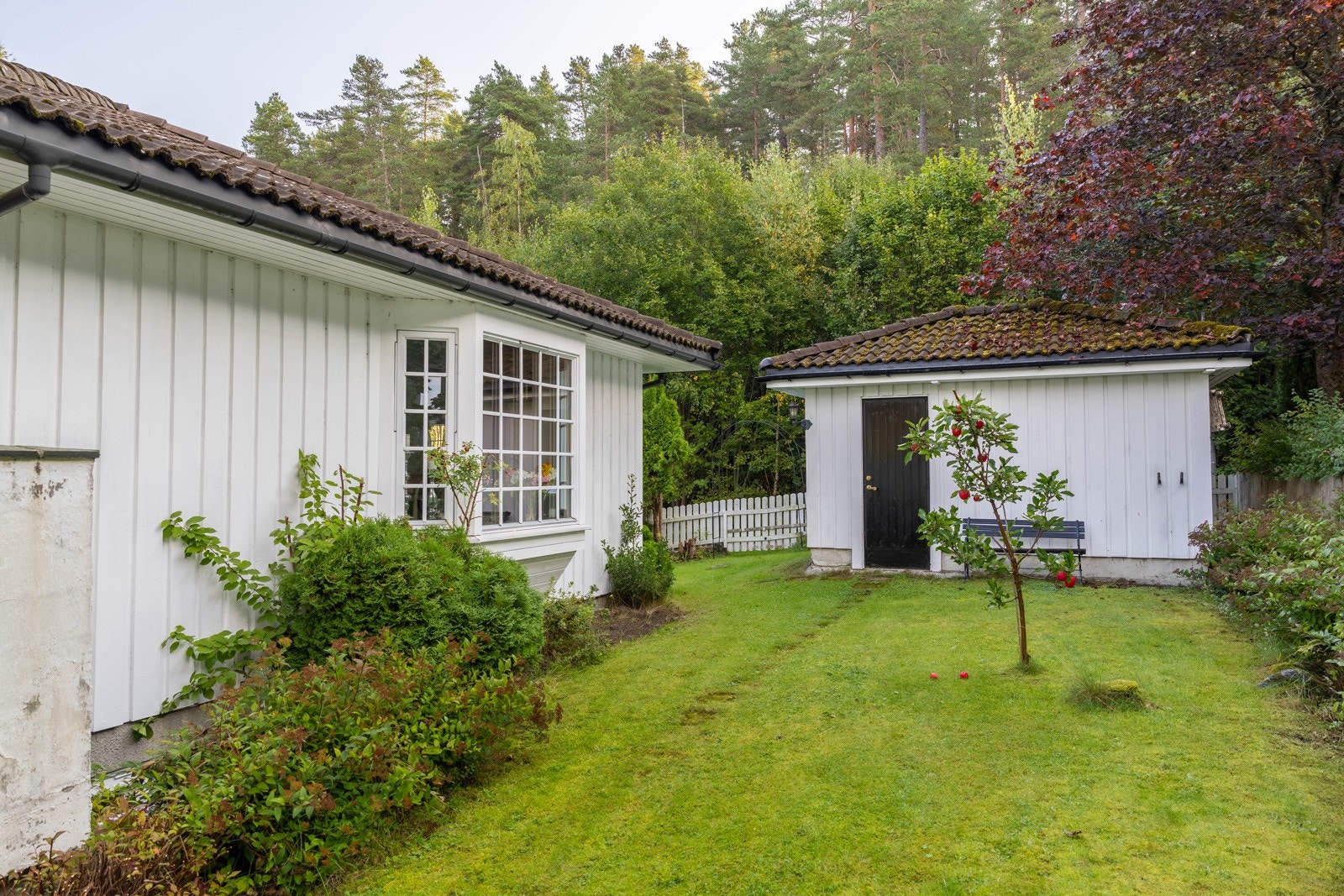 Hagen på sommerstid er grønn og frodig. Galleribilde