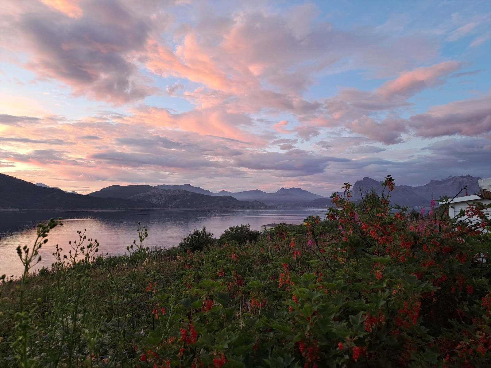 Selgers private foto Galleribilde