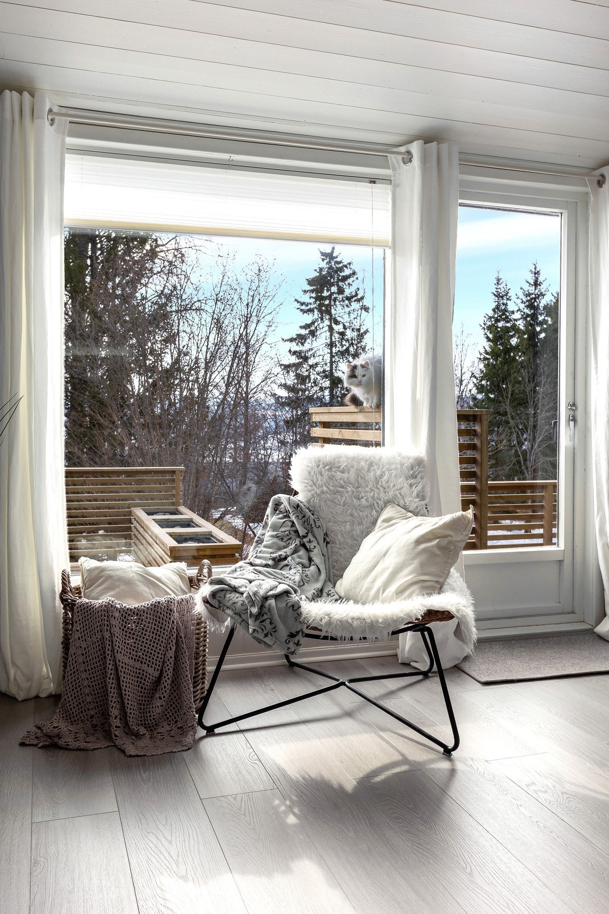 Naturtomt på nedsiden av boligen Galleribilde