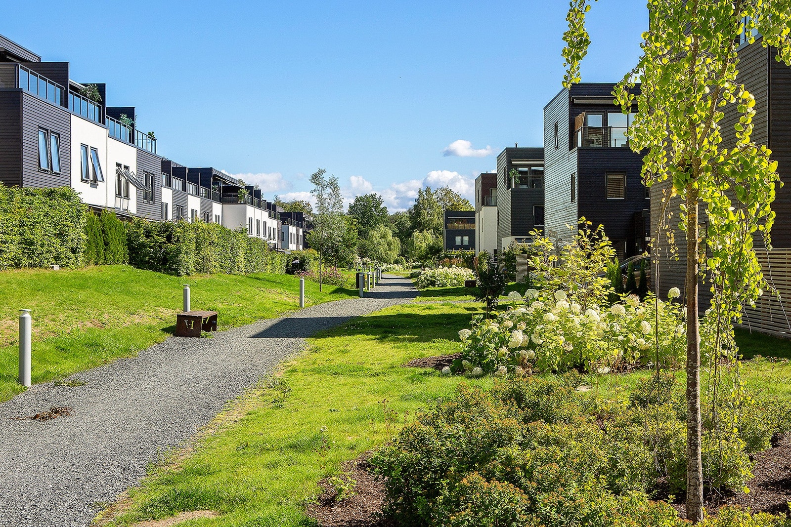 Flotte grøntområder i Vøyenenga park Galleribilde
