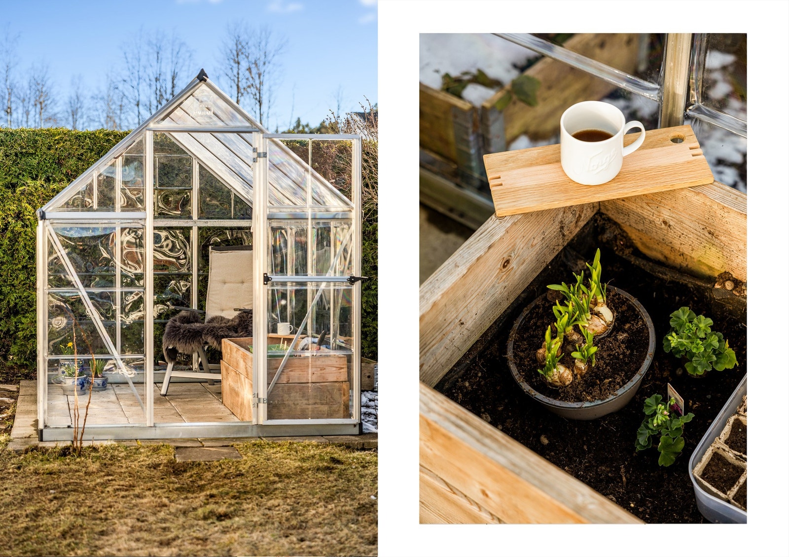 Drivhus i hagen. Galleribilde