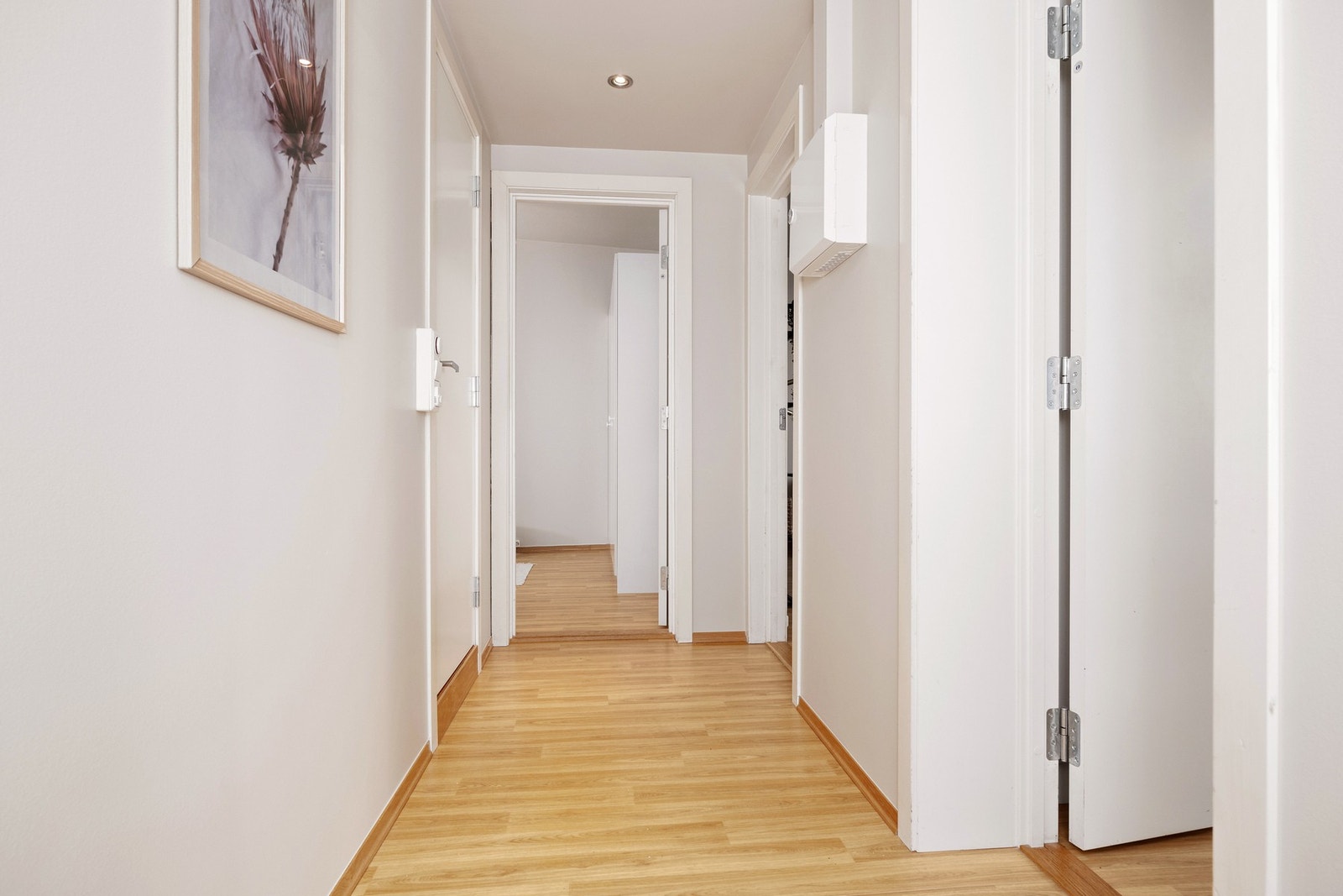 Entré/gang som forbinder de ulike rommene i leiligheten. Galleribilde