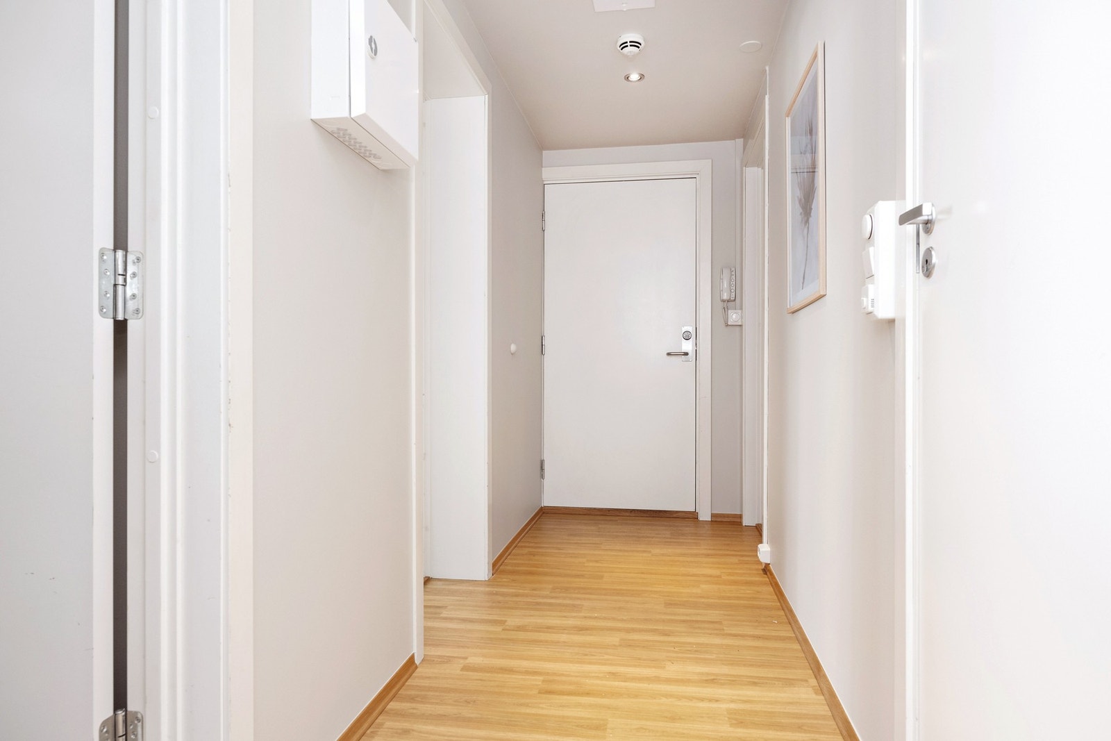 Entré/gang med dørcalling og downlights i taket. Galleribilde