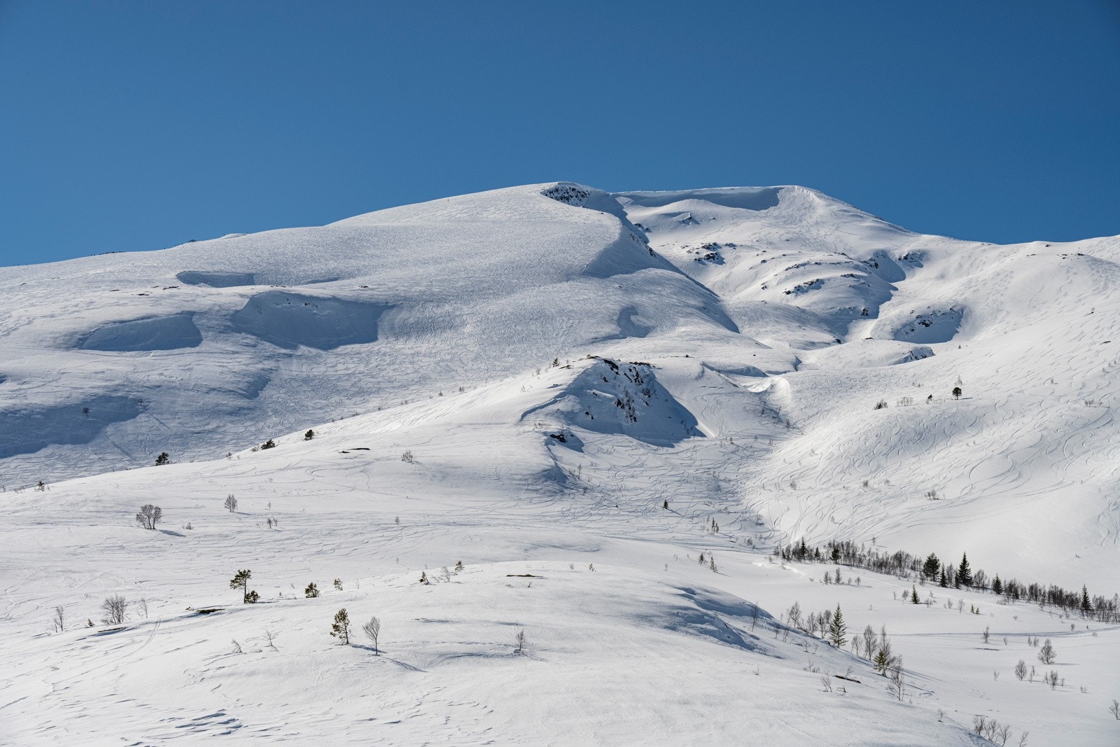 Det er svært gode forhold for toppturer og frikjøring i nærheten av eiendommen. Galleribilde