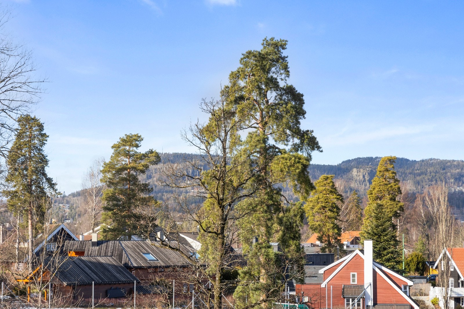 Utsyn mot nærområde (Kolsåstoppen i bakgrunnen) zoomet inn Galleribilde