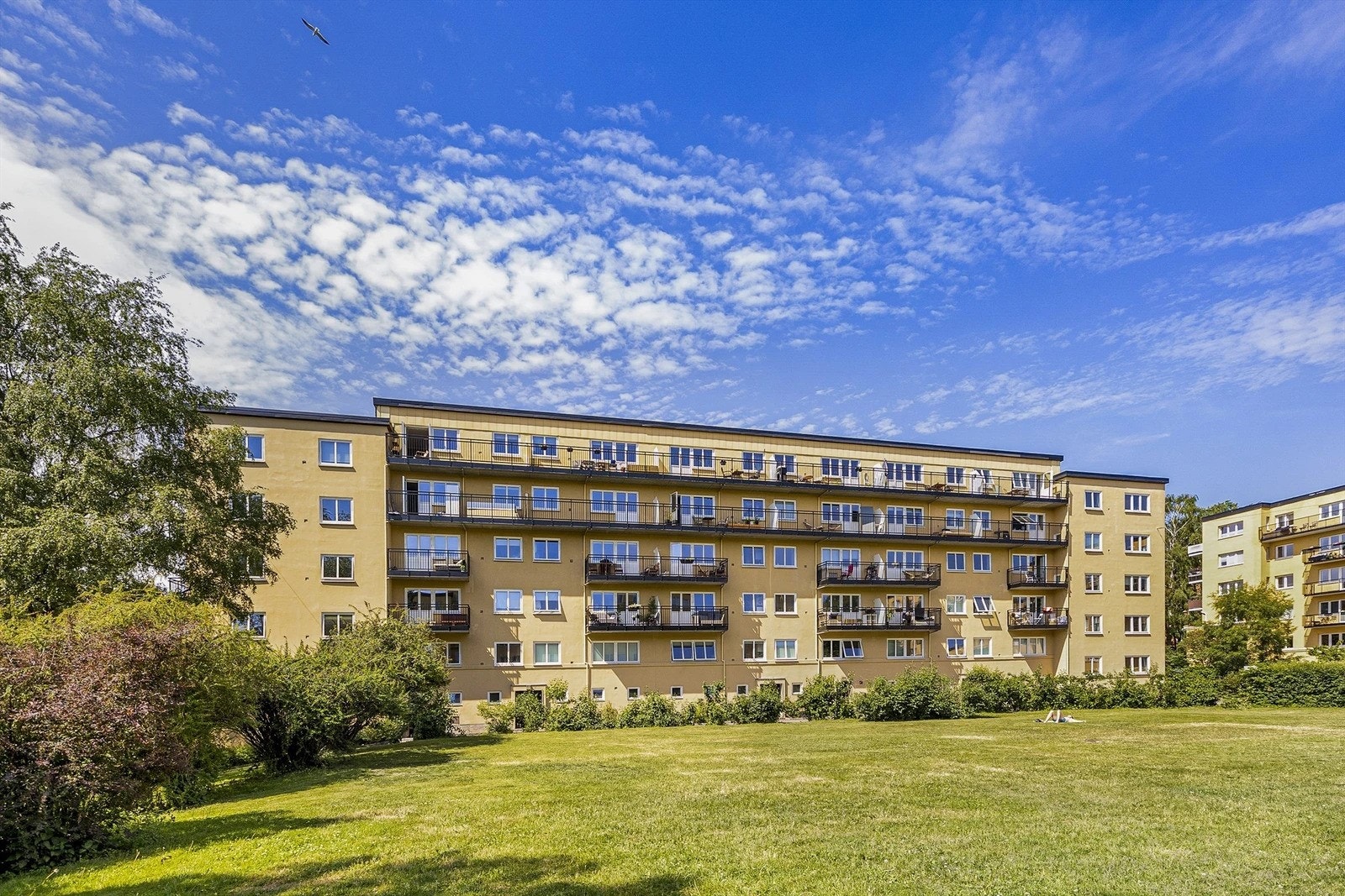 Store grøntarealer hvor det er godt med boltreplass! Galleribilde