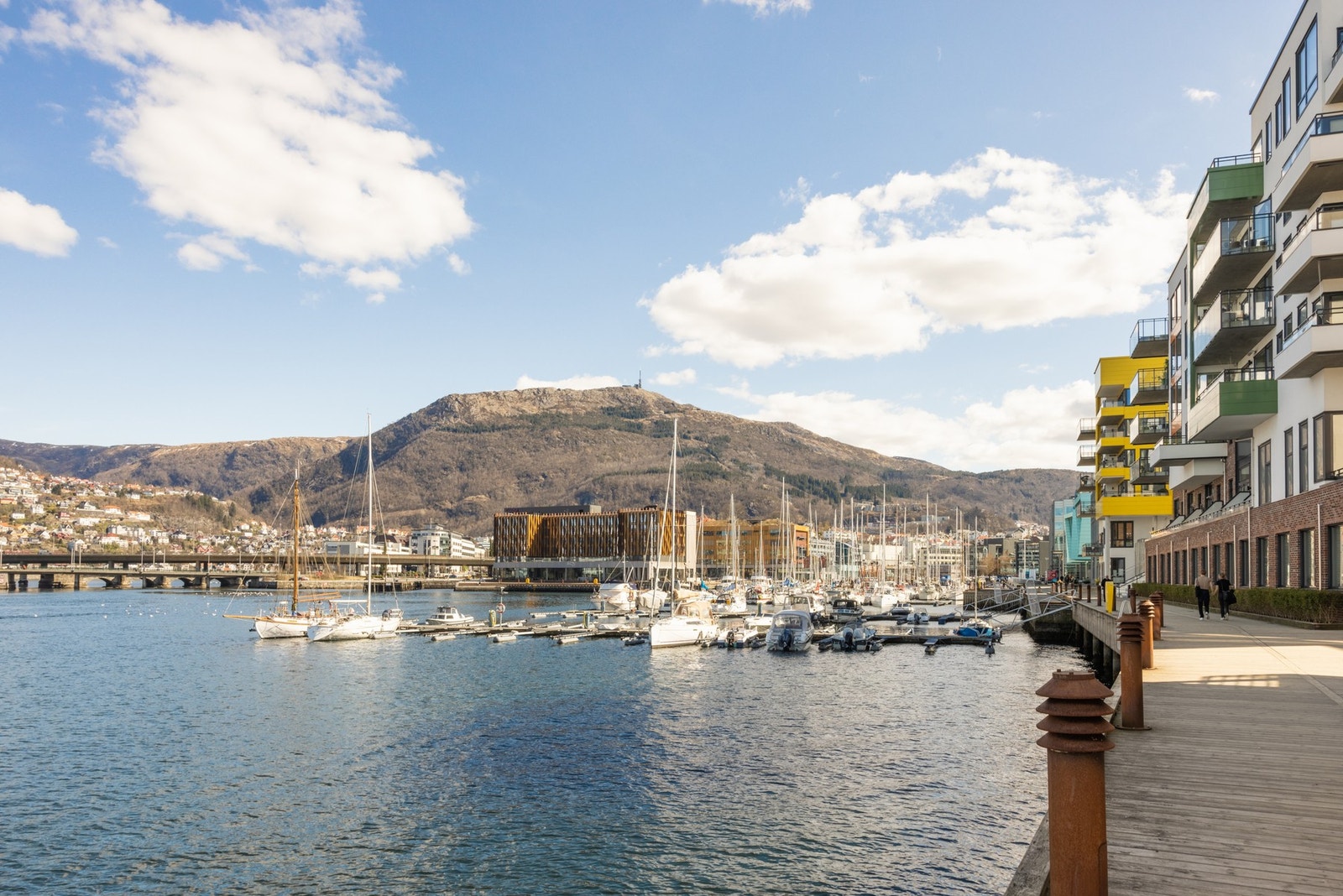 Nærområde. Galleribilde