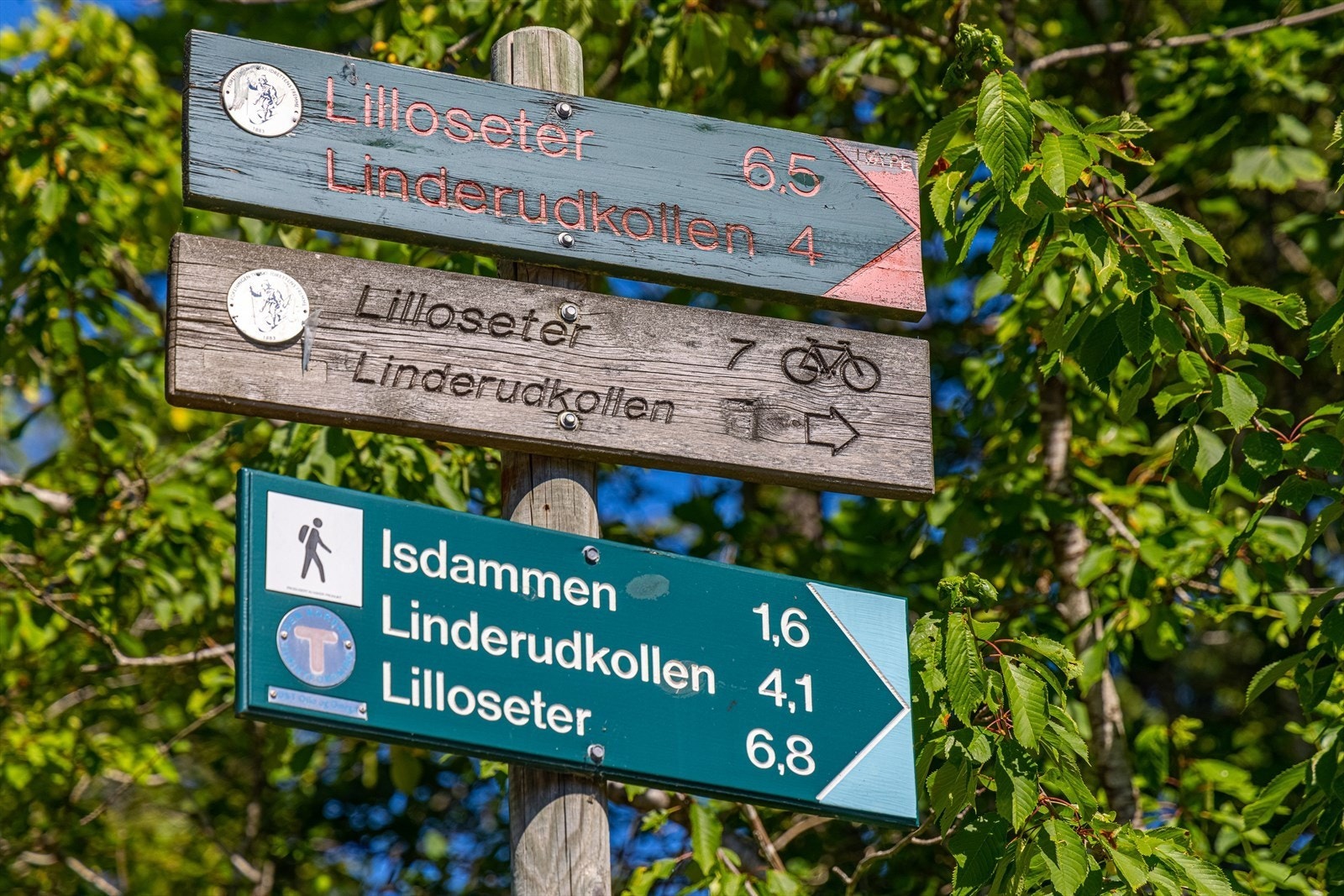 For naturopplevelser ligger Lillomarka, Grefsenkleiva, Trollvann og Linderudkollen med flotte turstier kort kjøretur unna Galleribilde