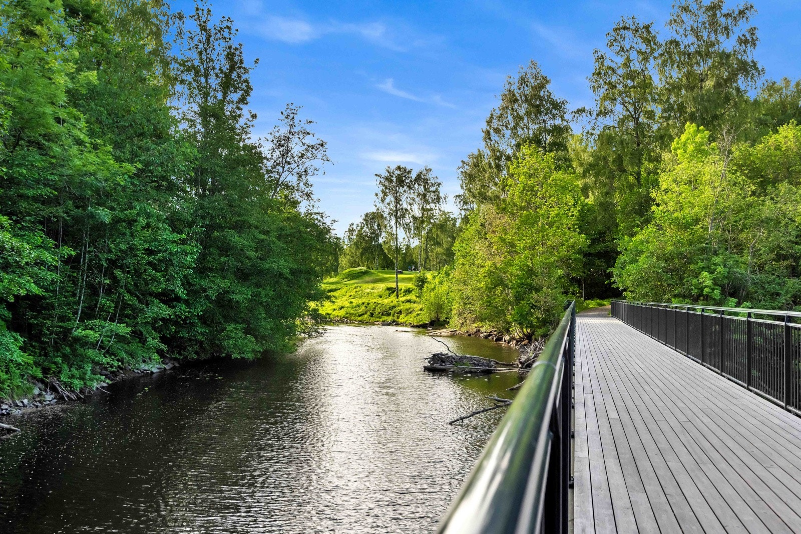 Området er rikt på aktiviteter og fritidstilbud for barn og voksne i alle aldre. Galleribilde