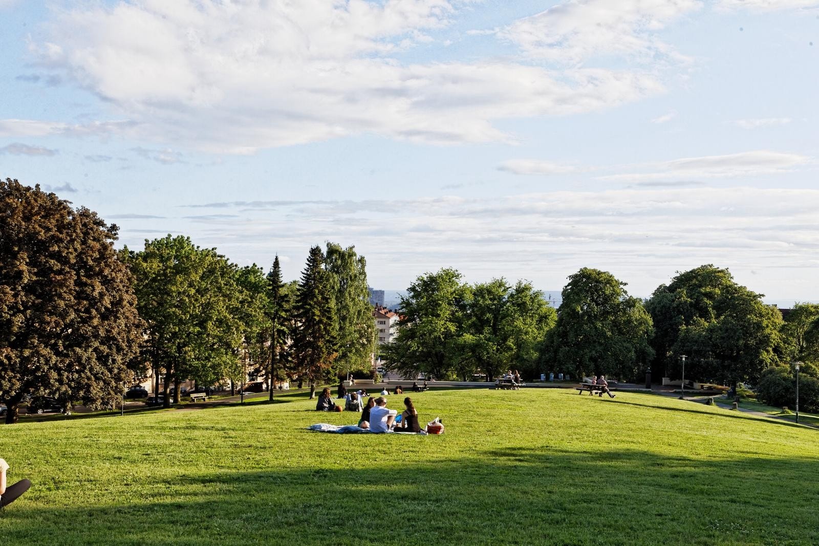 Nærområdet Galleribilde