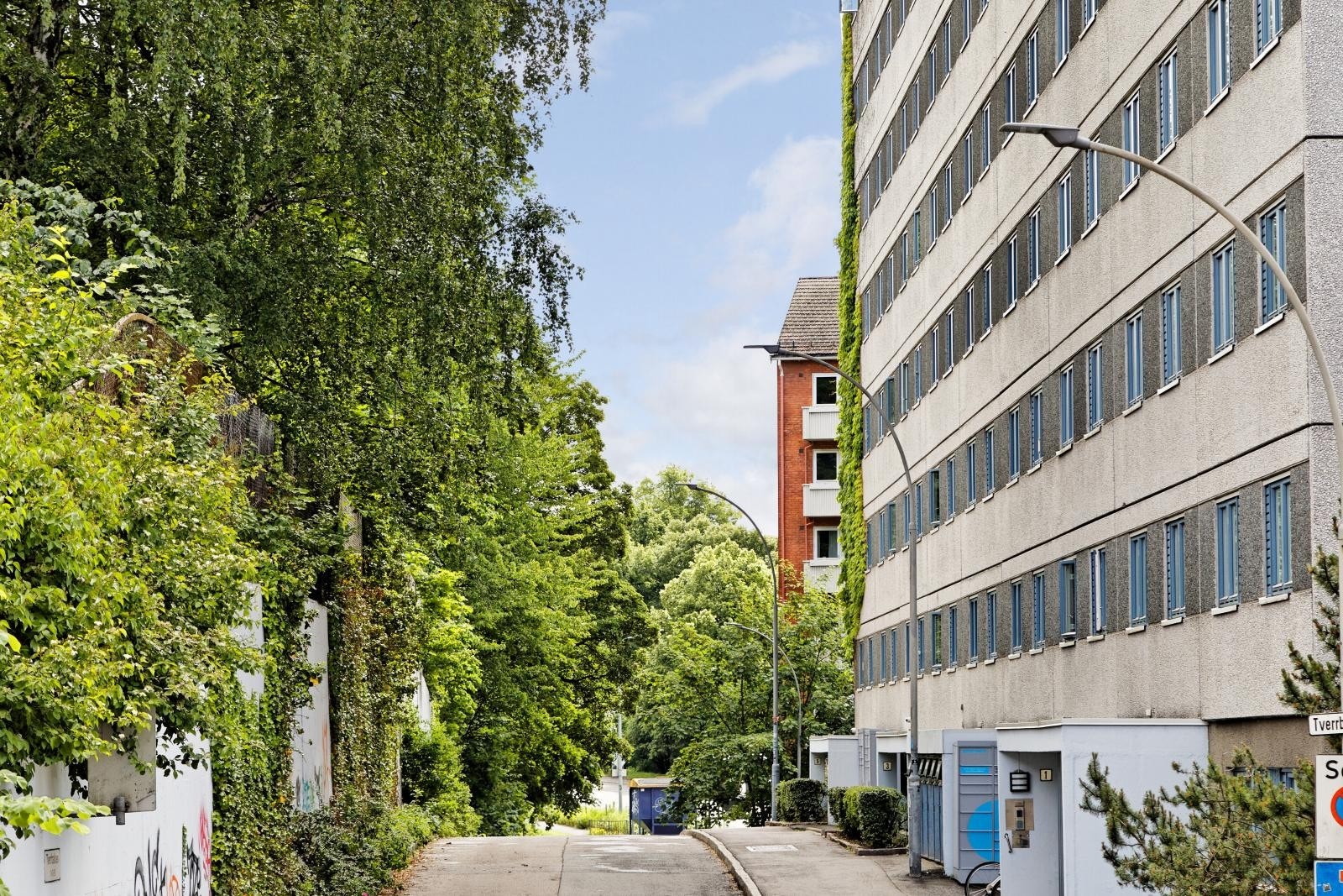 Sommerbilde fra Tverrbakken Galleribilde