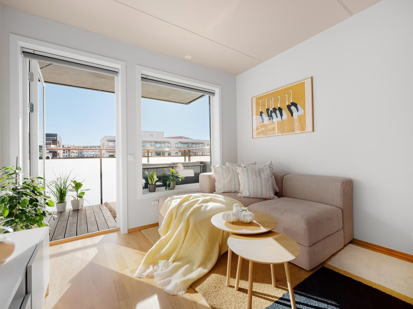 - De store vindusflatene bidrar til flotte innvendige lysforhold - Galleribilde