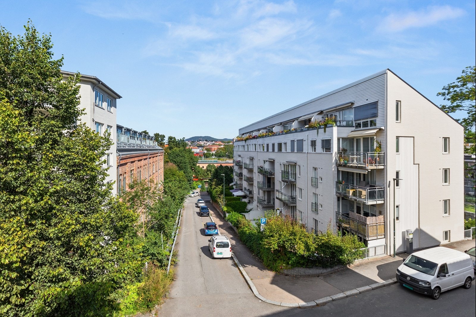 Om sommeren vokser treet i front seg grønt og gjør omgivelsene frodige samtidig som det skjermer for innsyn. Galleribilde