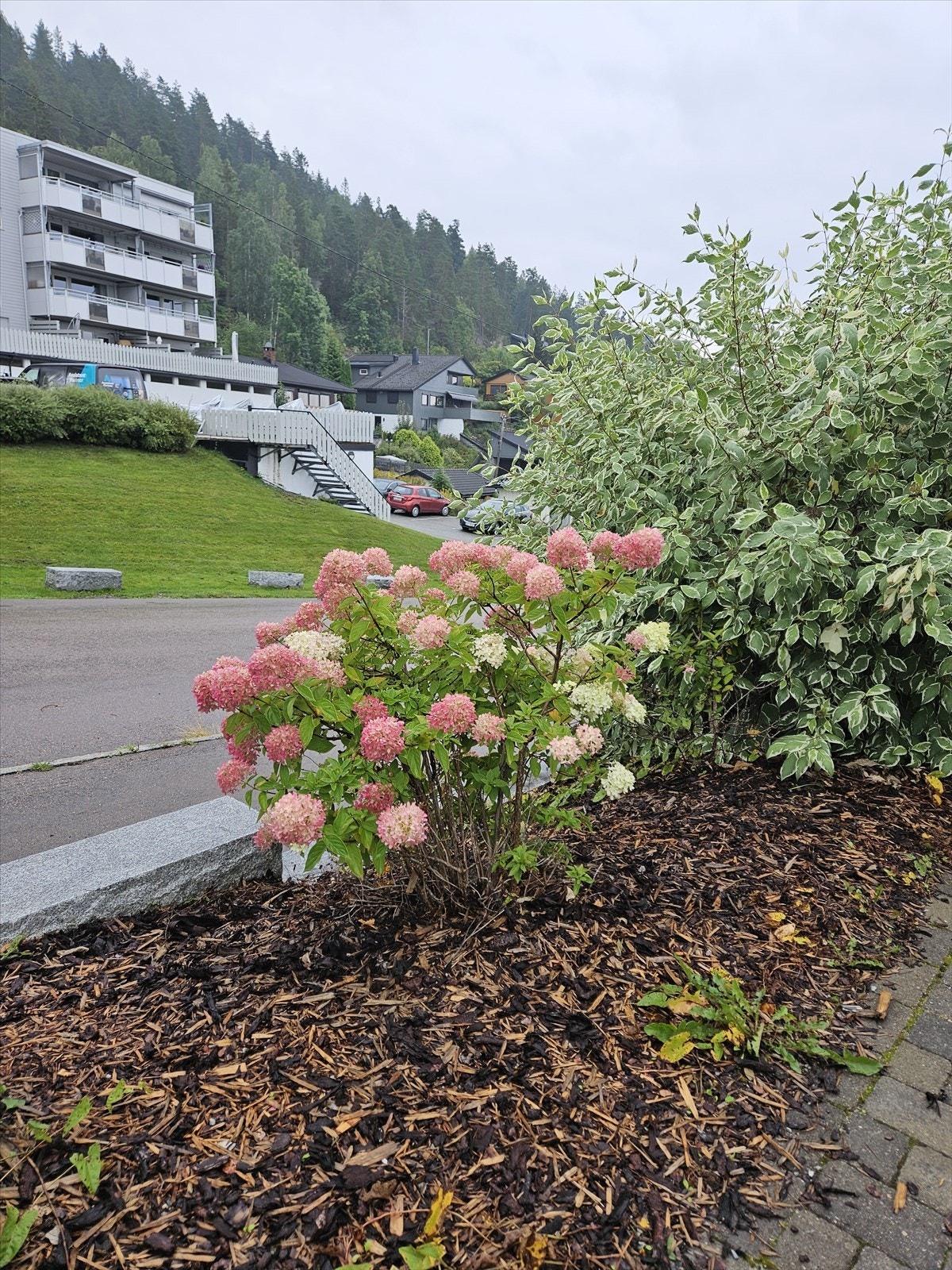 Bed ved inngangspartiet (sommerbilde) - Selgers bilde Galleribilde