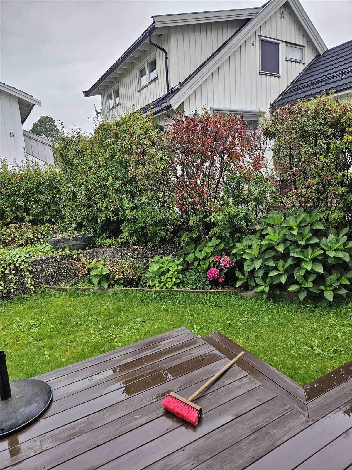 Hageområde (sommerbilde) - Selgers bilde Galleribilde