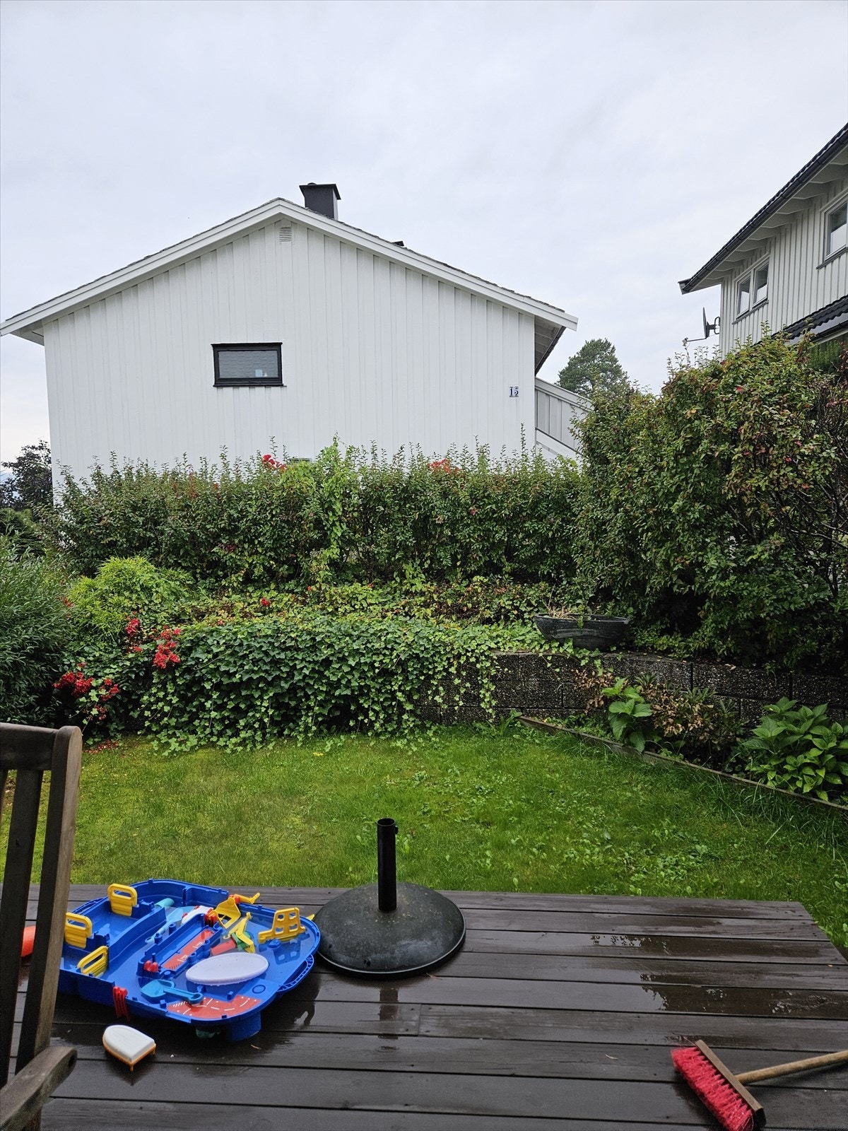 Hageområde (sommerbilde) - Selgers bilde Galleribilde