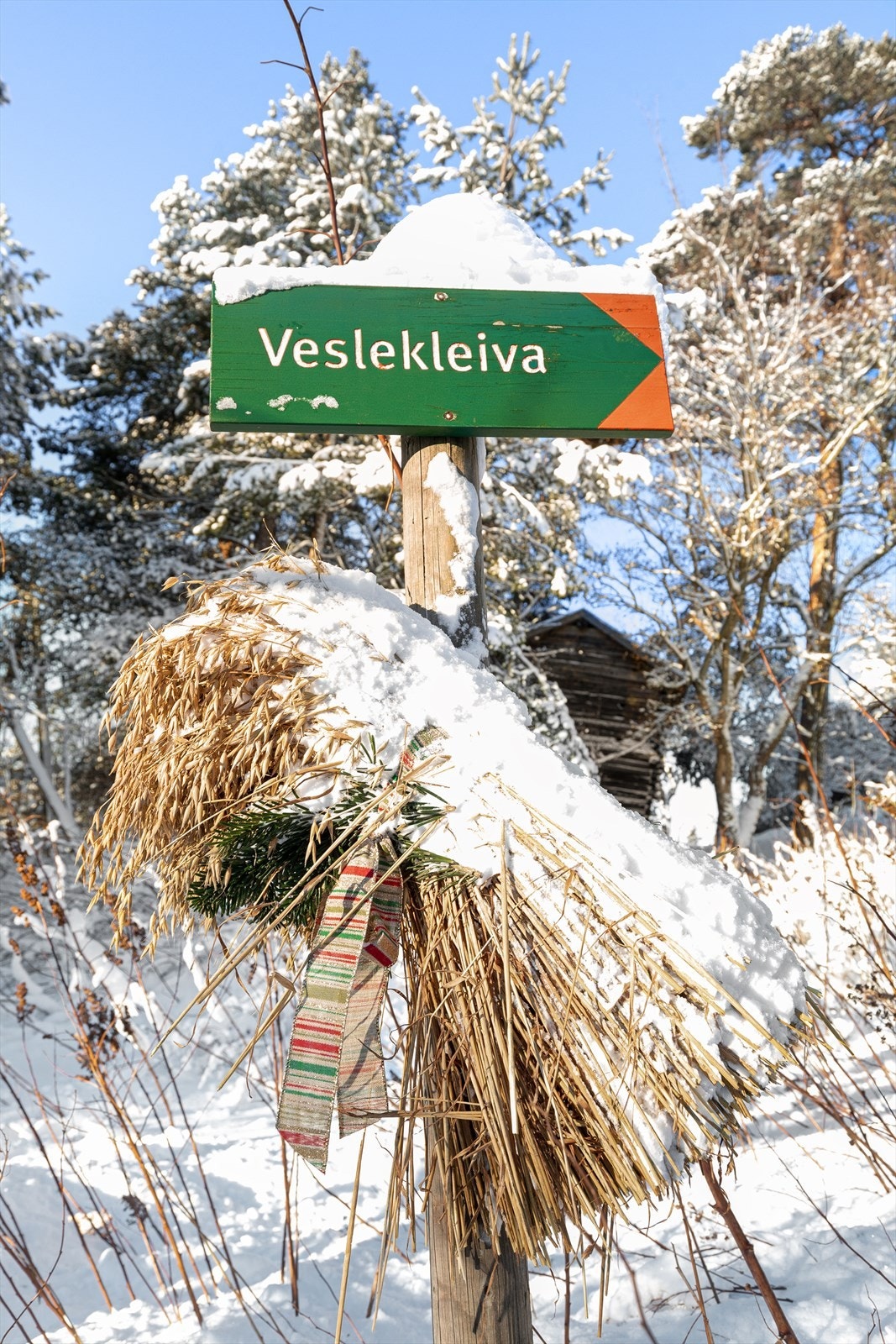 Fredelige omgivelser med flotte turområder sommer og vinter. Galleribilde