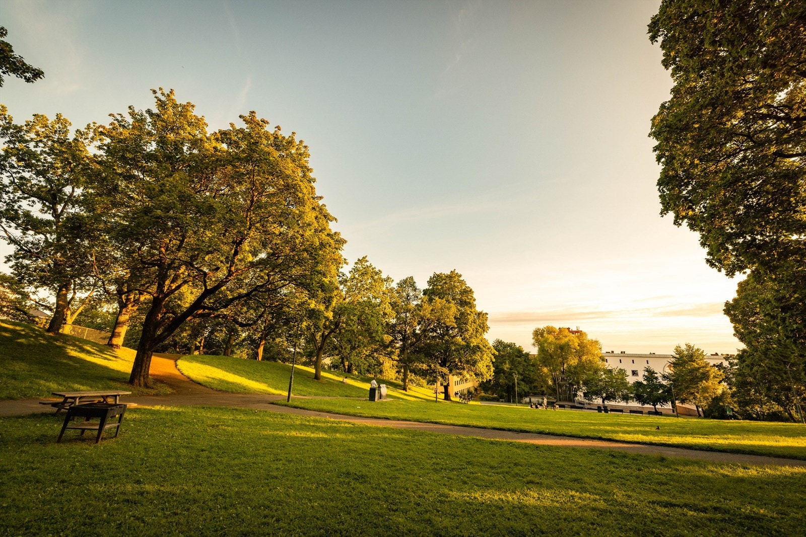 Bjølsen parken er et perfekt sted for søndagsturen og late sommerdager med piknik og soling Galleribilde