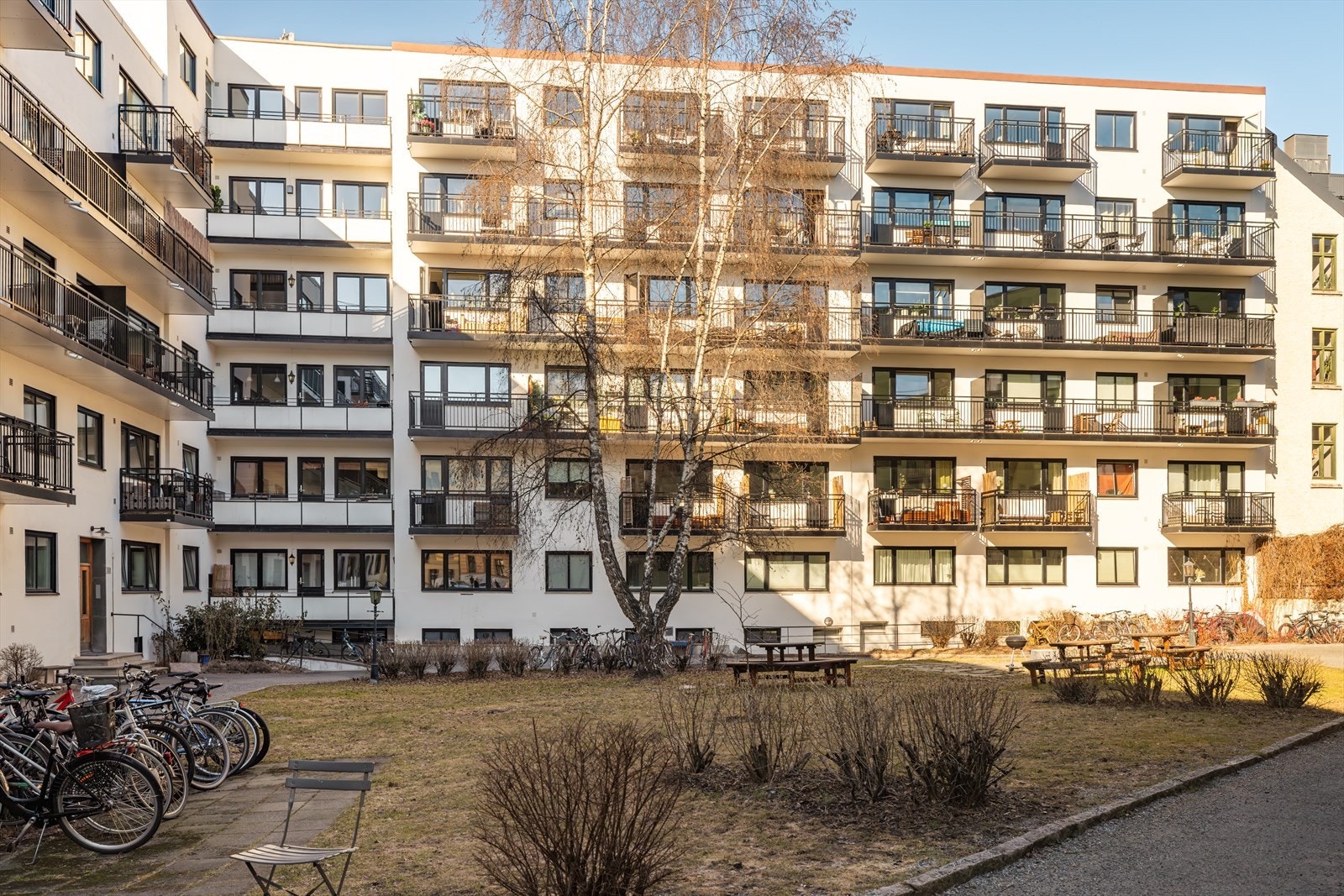 Velholdt aksjeselskap med populær beliggenhet på Grunerløkka. Galleribilde