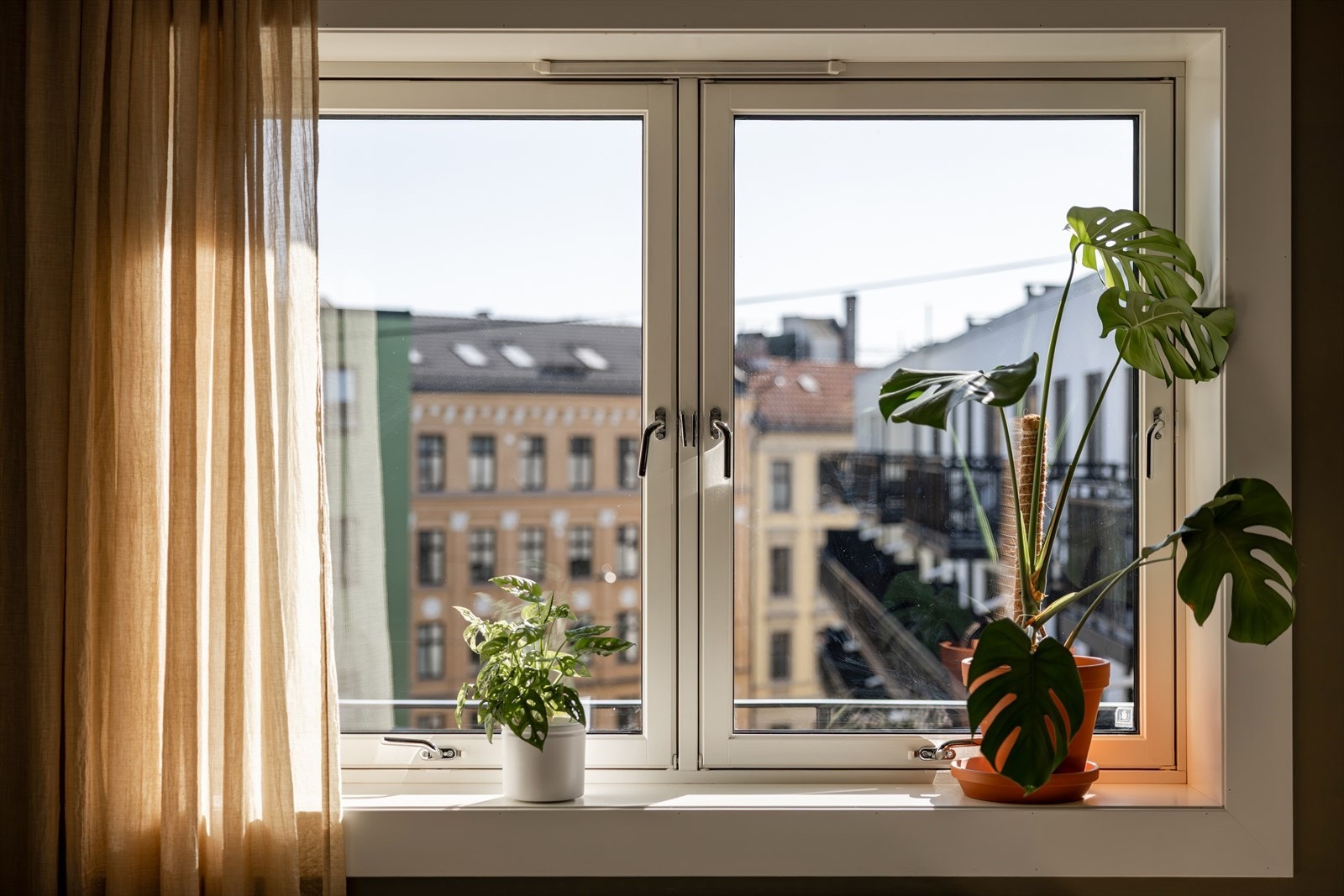 Flott utsyn mot bakgård og nabolaget. Galleribilde