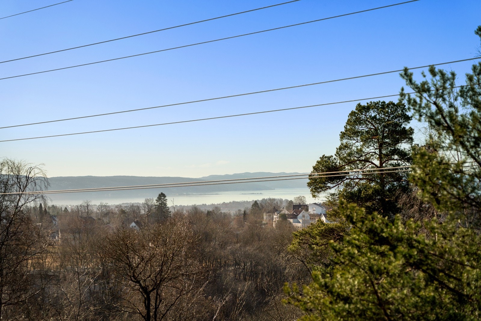 Vakker utsikt med et glimt av fjorden i det fjerne. Galleribilde