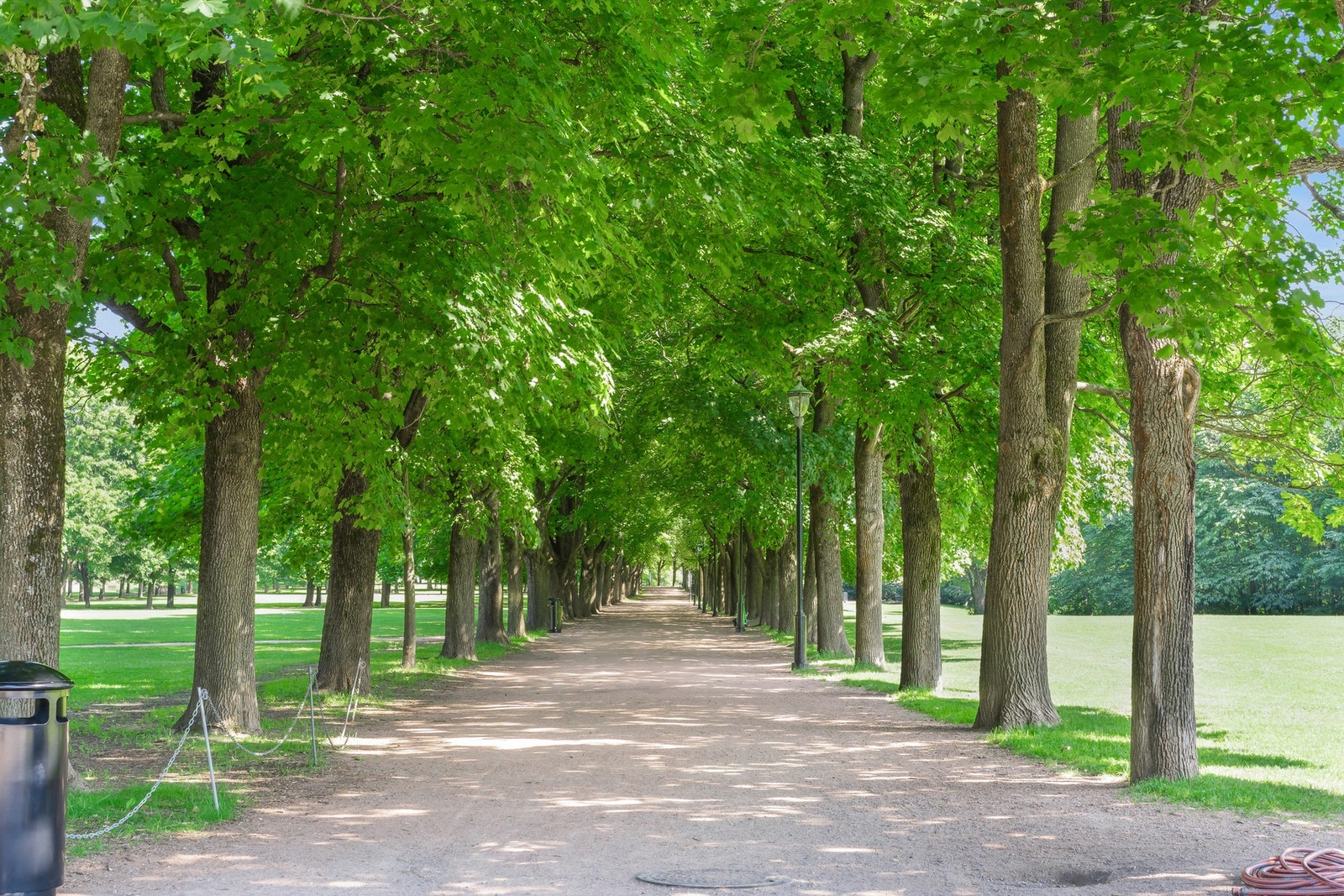 Vakre Frognerparken ligger ikke langt unna leiligheten Galleribilde