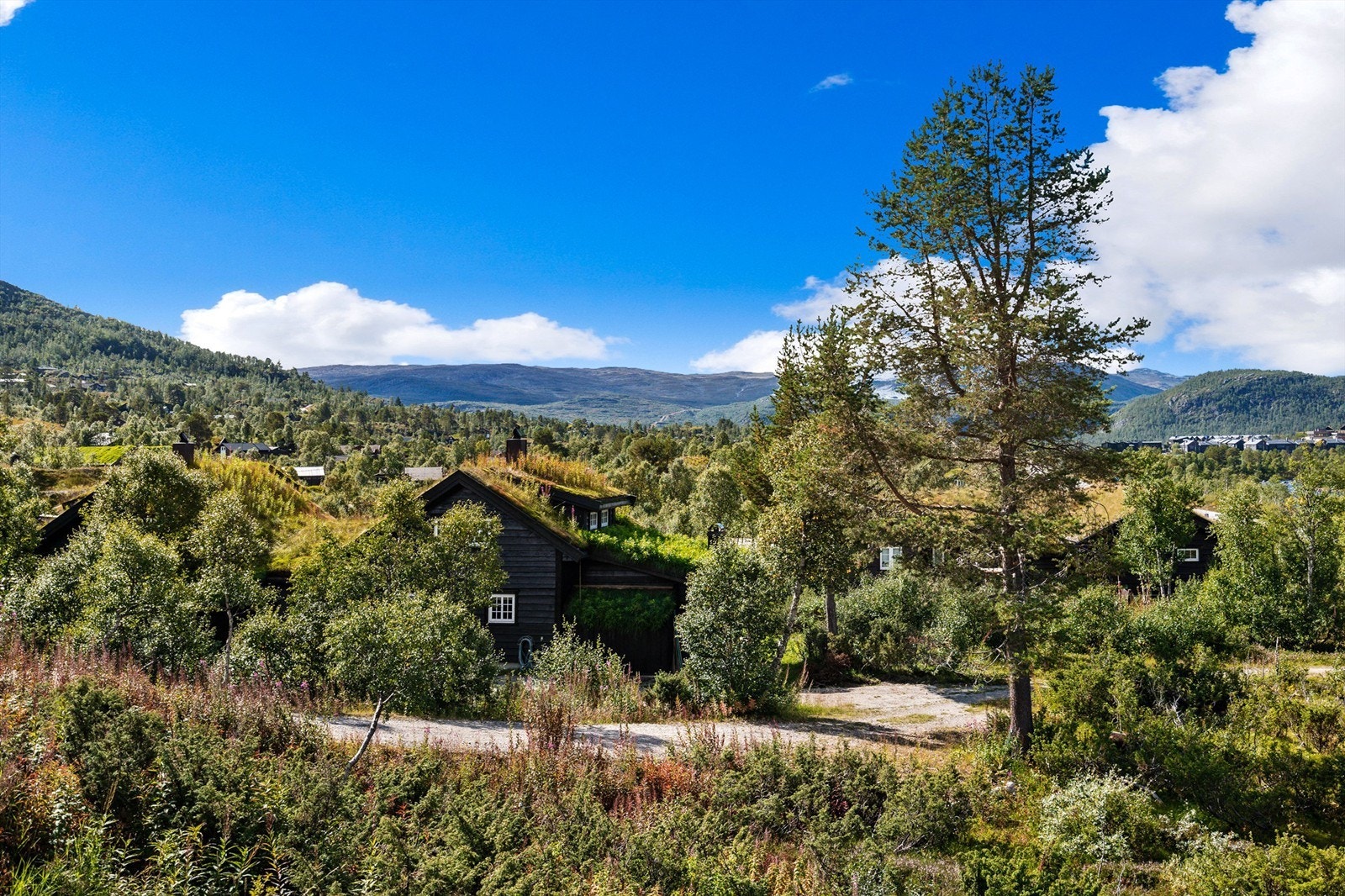 Utsikten sørover. Galleribilde