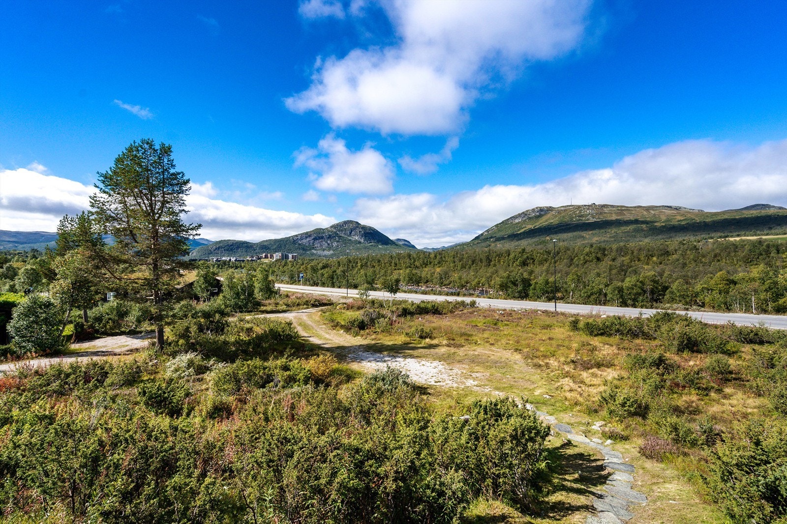 Del av tomten med parkering. Galleribilde