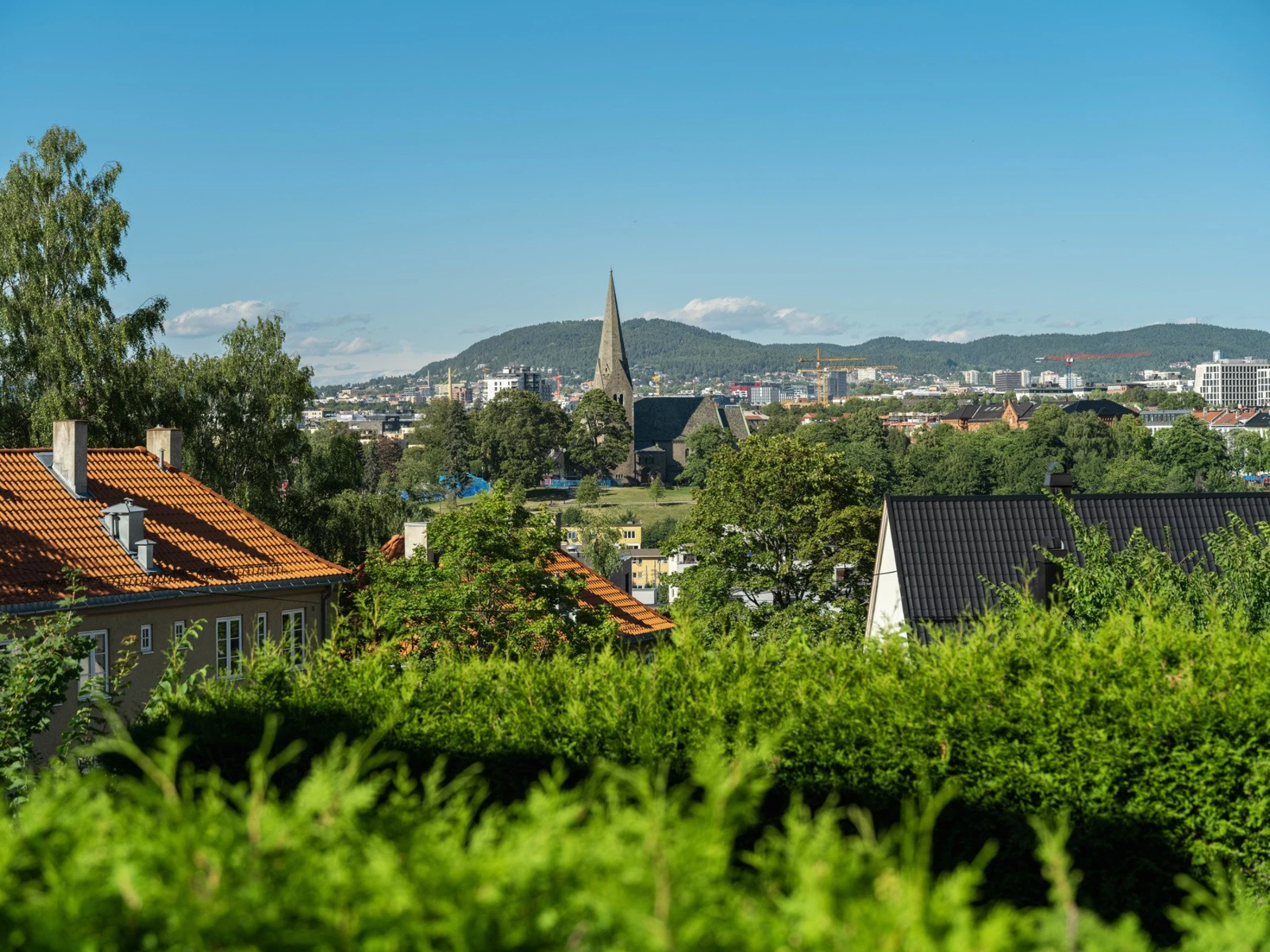 Her får du en sniktitt på hvordan utsikten er på sommerstid. Denne kommer du til å like! Galleribilde