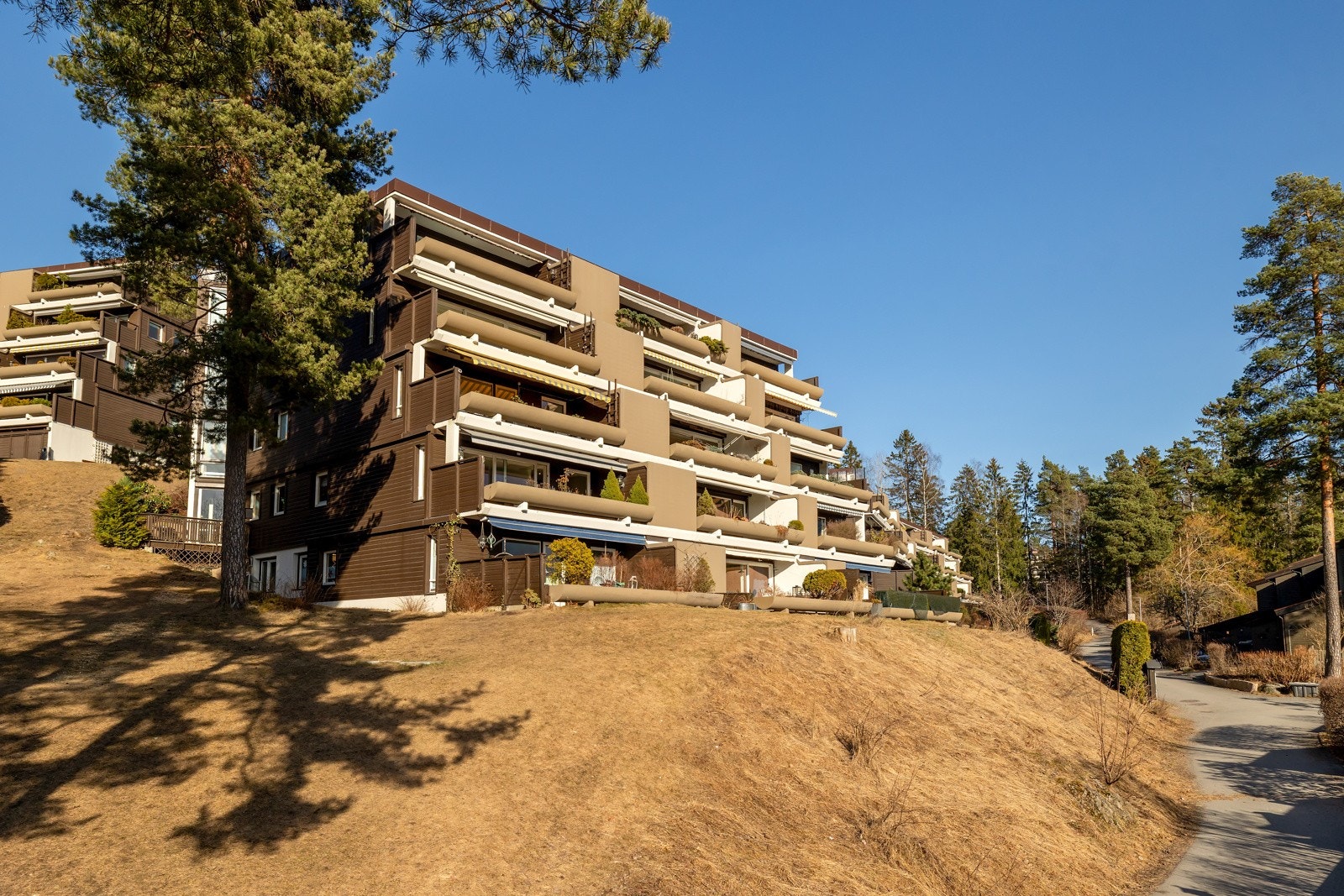 Sameiet Kragskogen Terrasse består av 148 seksjoner Galleribilde