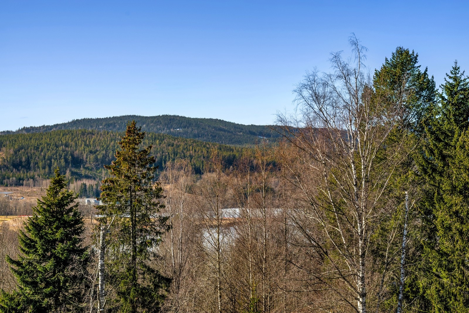 Utsikt. Galleribilde