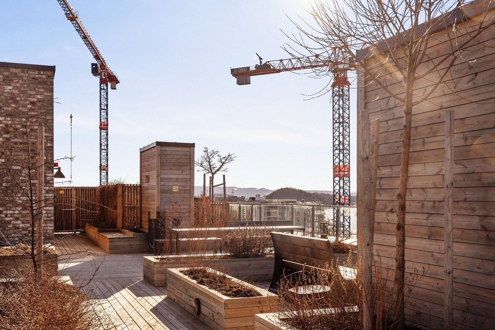 Felles takterrasser med panoramautsikt og to drivhus. Galleribilde