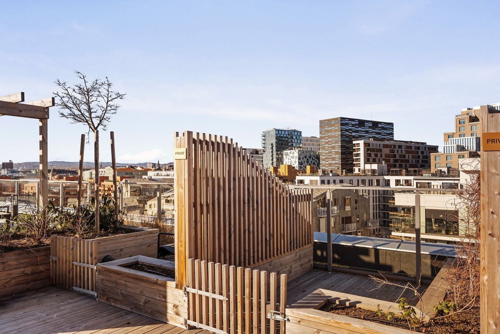 Egen privat takterrasse parsell til leiligheten - Heisadkomst Galleribilde