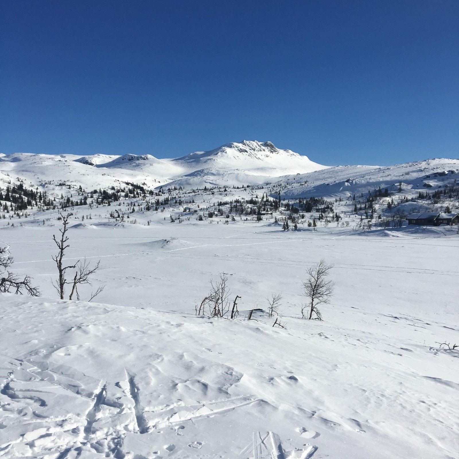 Vinterbilde fra nærområdet Galleribilde