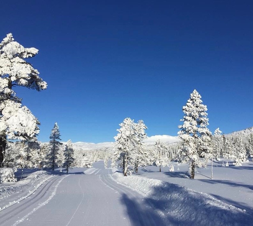 Vinterbilde fra nærområdet Galleribilde