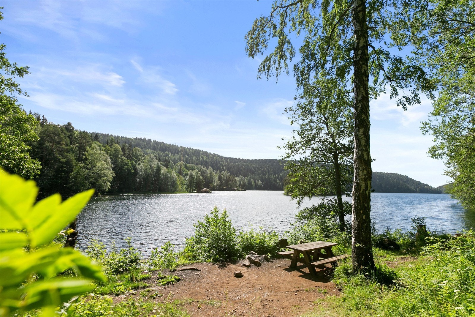 Østmarka byr på flere bade- og fiskevann.
Her ser dere fra Lutvann som ikke er langt unna boligen din. Galleribilde