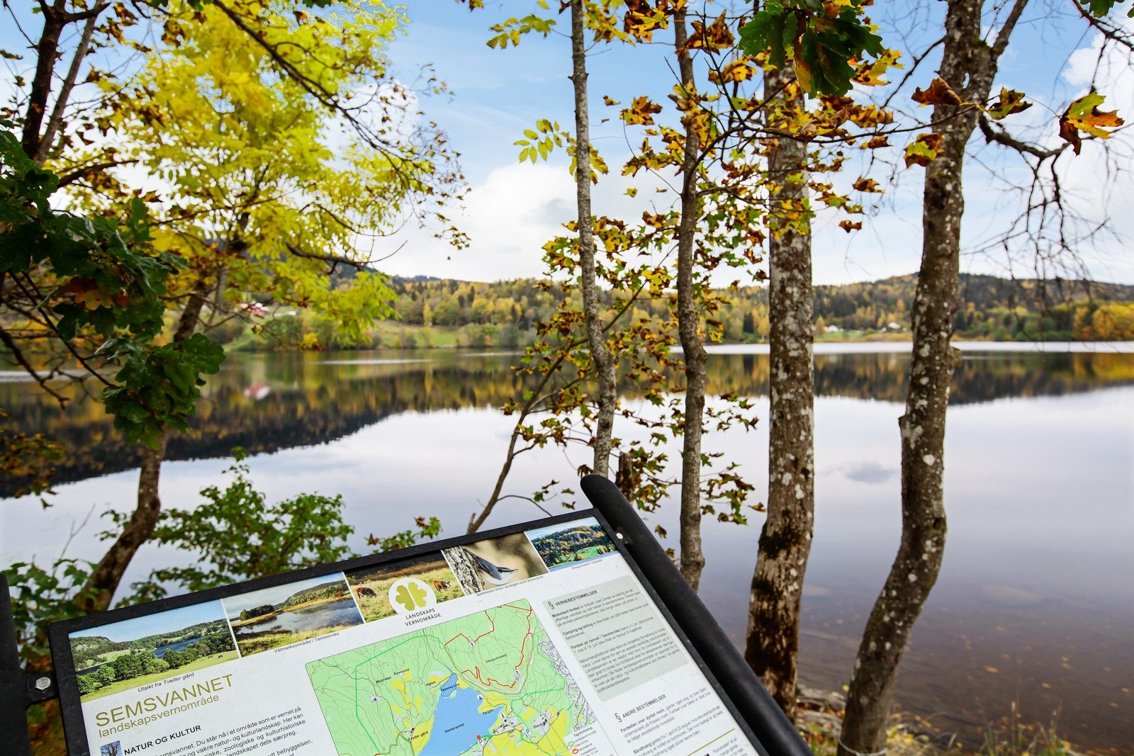 Kort vei til marka Galleribilde