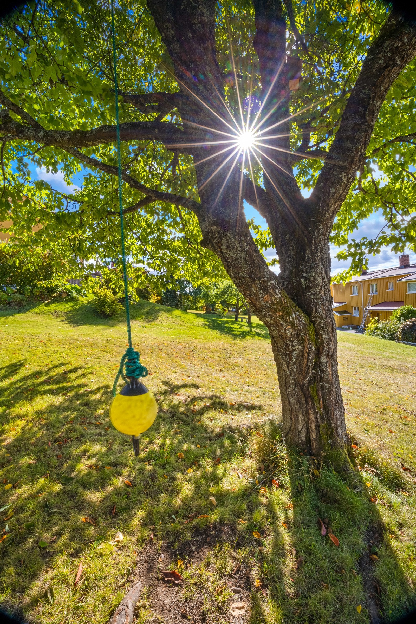 Askerjordet og Asker Hageby er et eldorado for barnefamilier - Hyggelig felles lekeplass Galleribilde