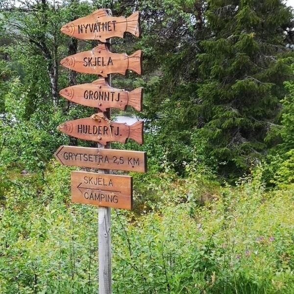 Et hav av fiskevann og tjern, også små tjern hvor det spretter godt, som jeg ikke greier å finne på kartet Galleribilde