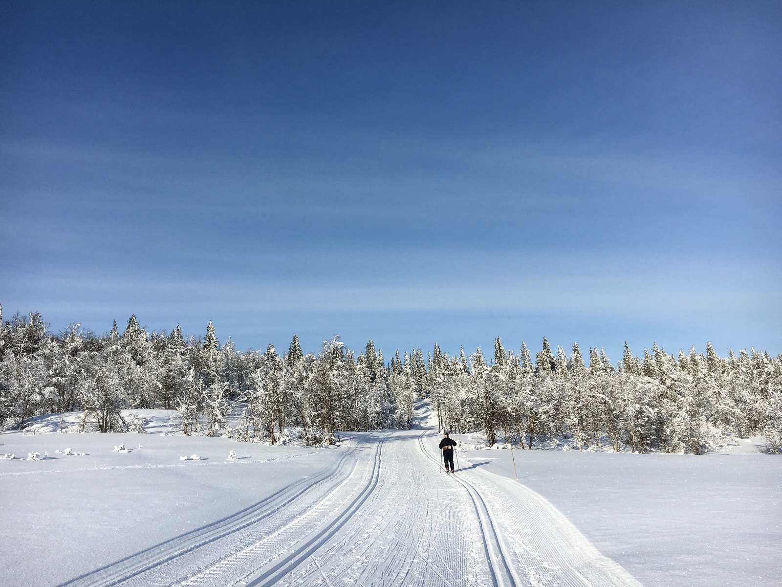Ute er det nydelige skispor på vinteren, et ganske så snøsikkert område Galleribilde