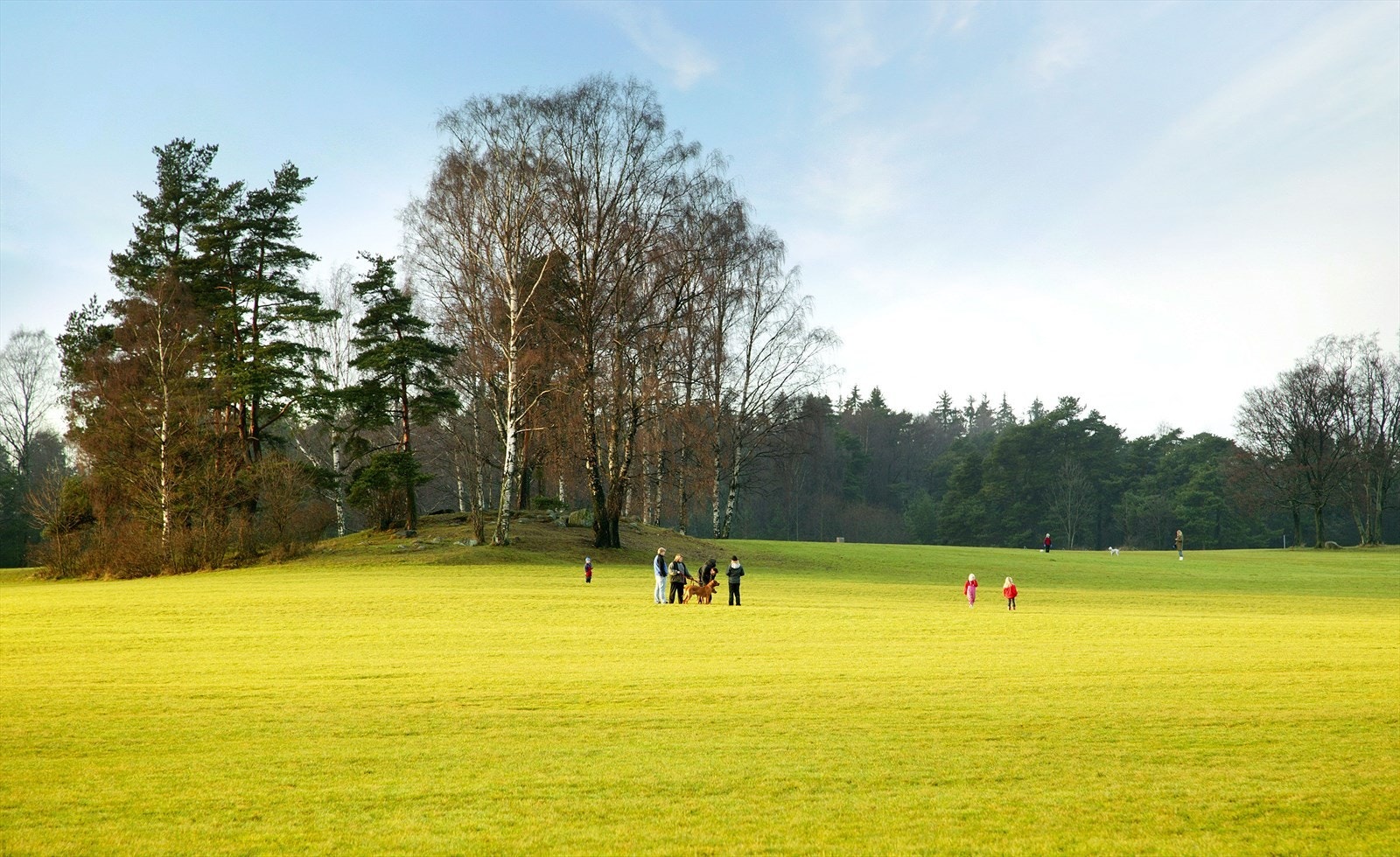 Ekebergsletta er et populært turmål Galleribilde