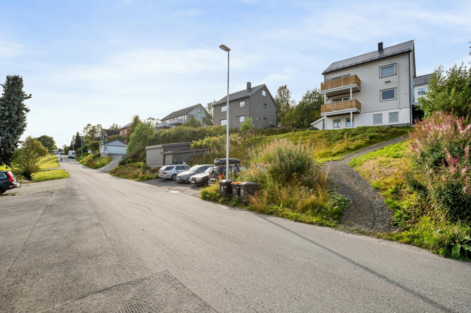 Utebilde fra i sommer. Galleribilde