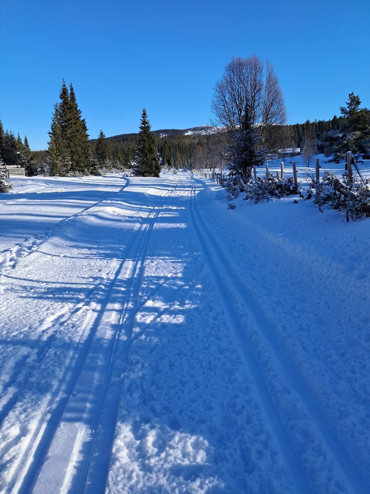 Snaufjellet har de mest uberørte fjellområdene i Nesfjella med destinasjoner som bl.a. Fetjafjell med høyeste topp; Hallingnatten 1314 moh. hvor man kan få se villrein i flott natur. Galleribilde