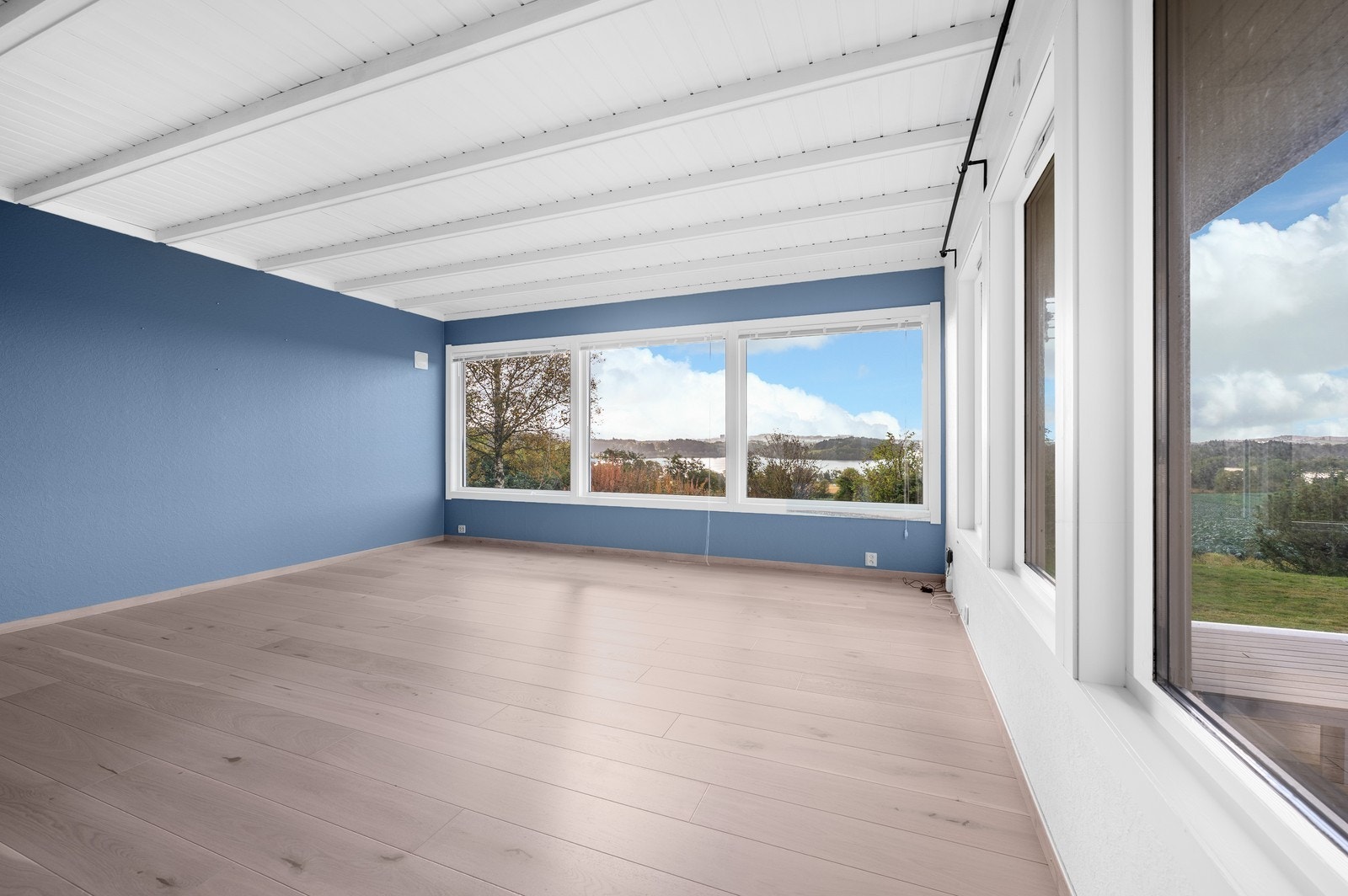 Utsikt fra stue - stuen har fått lyse vegger Galleribilde